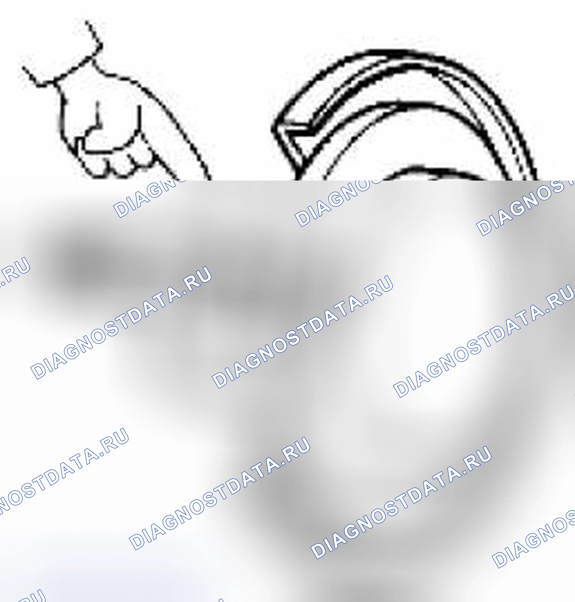 Рис. 86: РОТОР. Suzuki Equator I