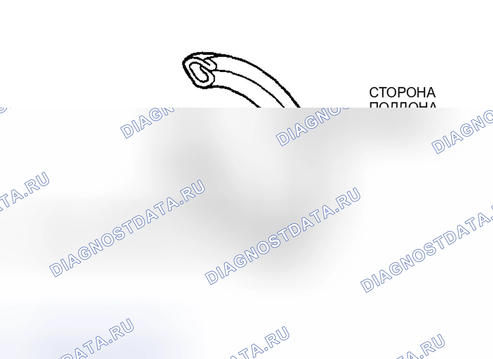Рис. 367: > > C < < УСТАНОВКА ПРОКЛАДКИ СЛИВНОЙ ПРОБКИ. Honda Edix I