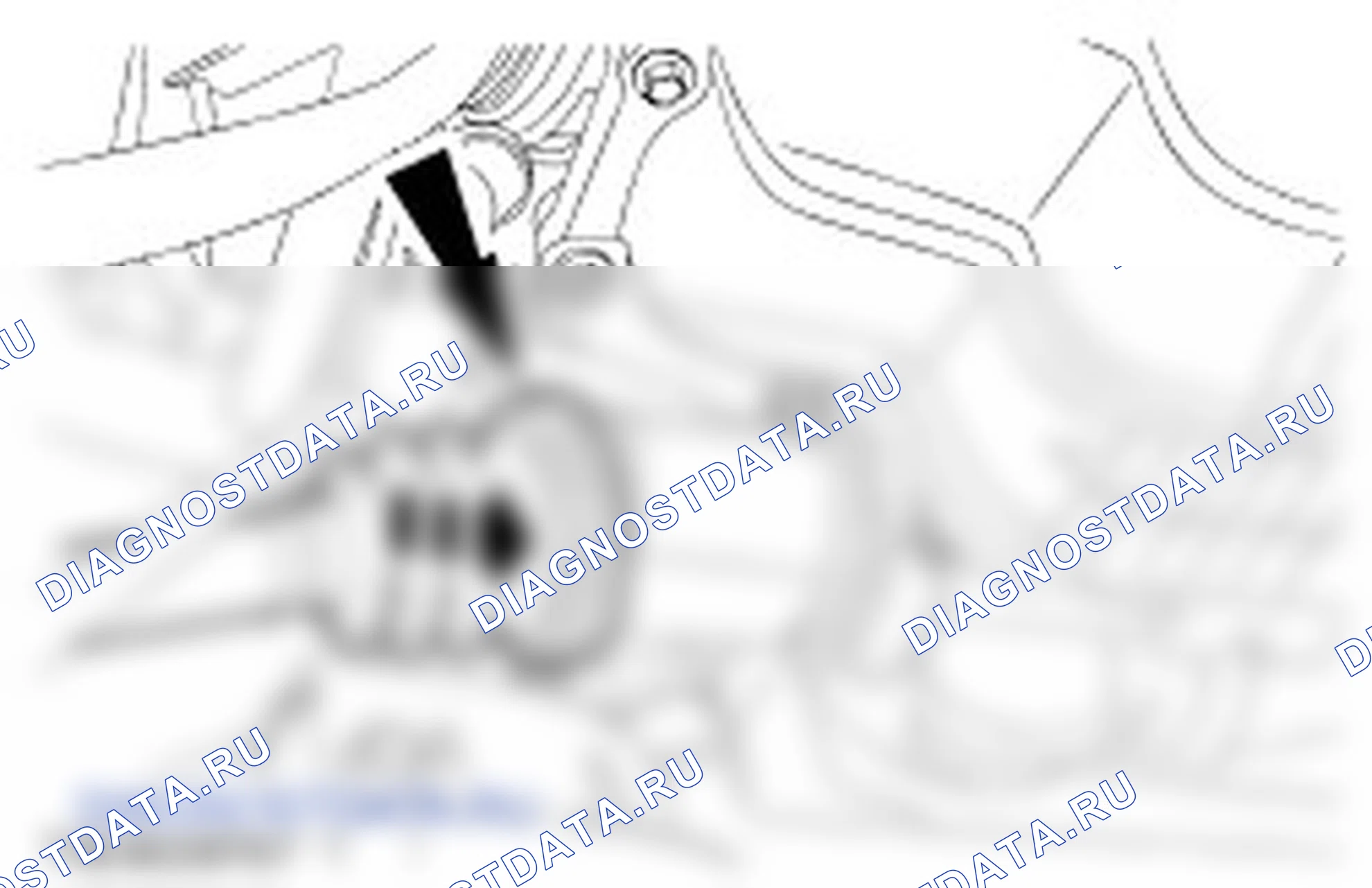 передняя полуось, правая: описание и работа. Ford Ka I