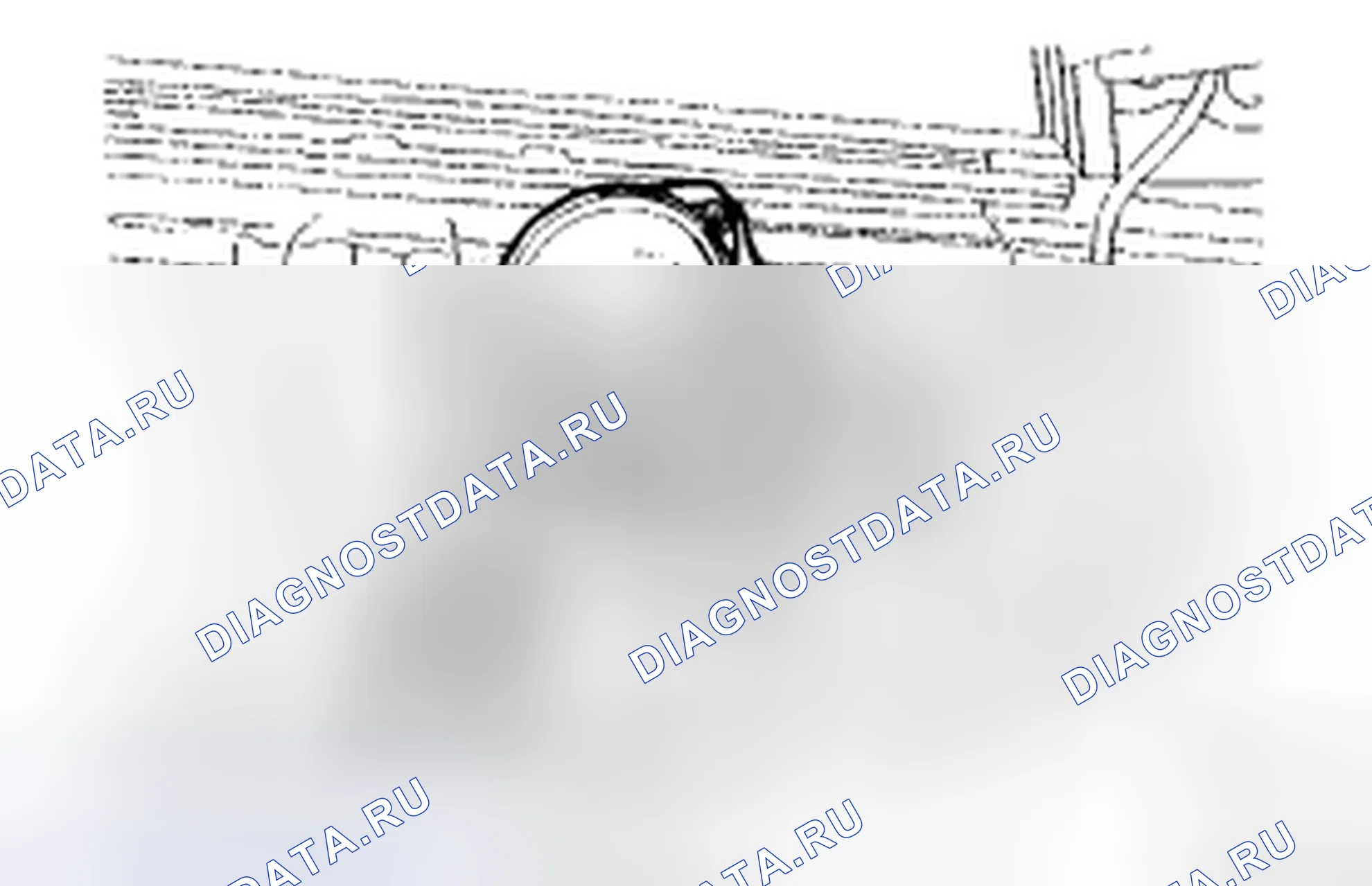 Рис. 79. Toyota Corolla X