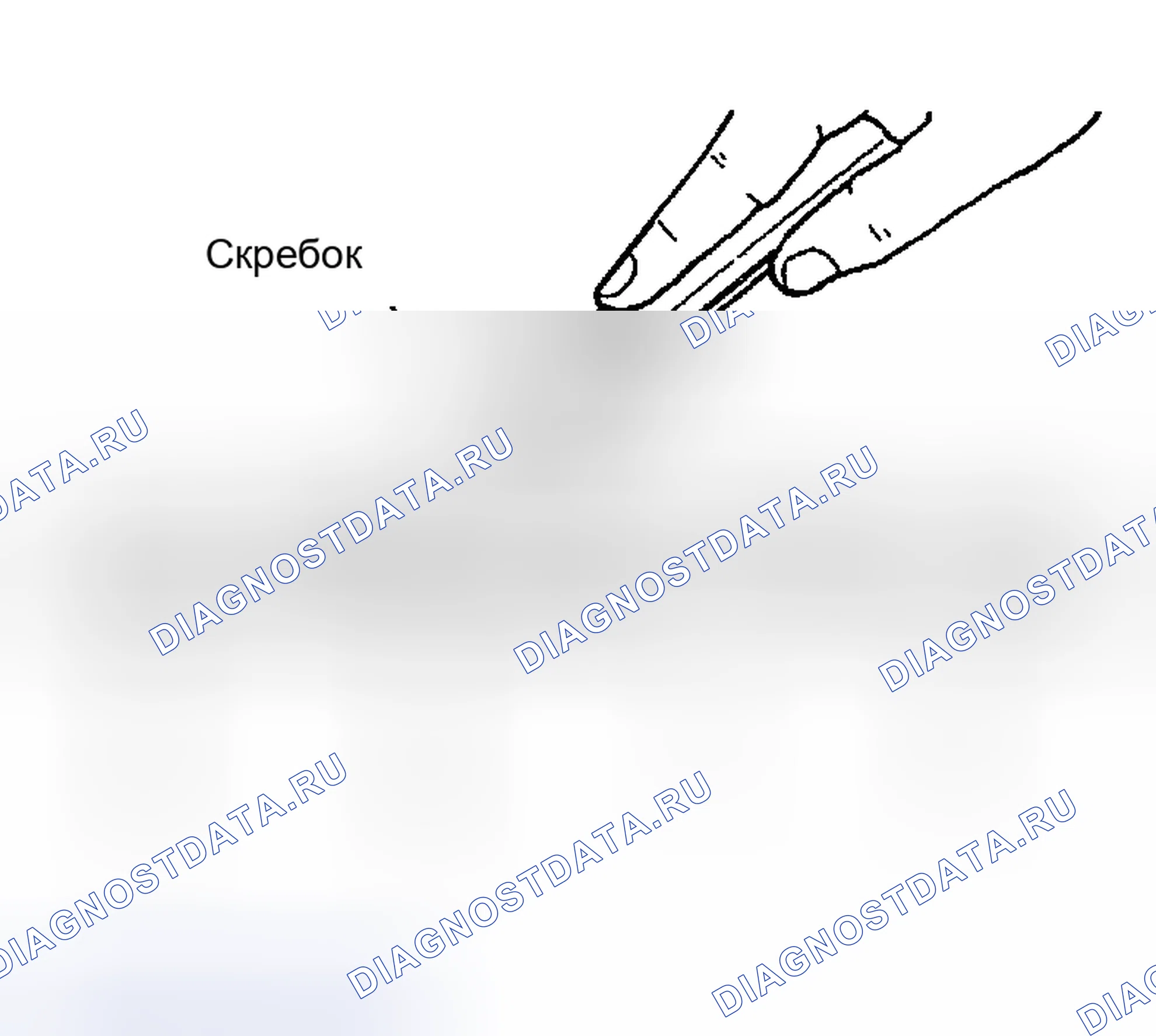 Рис. 20: ПРОЦЕДУРА УСТАНОВКИ ЖИДКОСТНОЙ ПРОКЛАДКИ. Honda Odyssey (North America) I