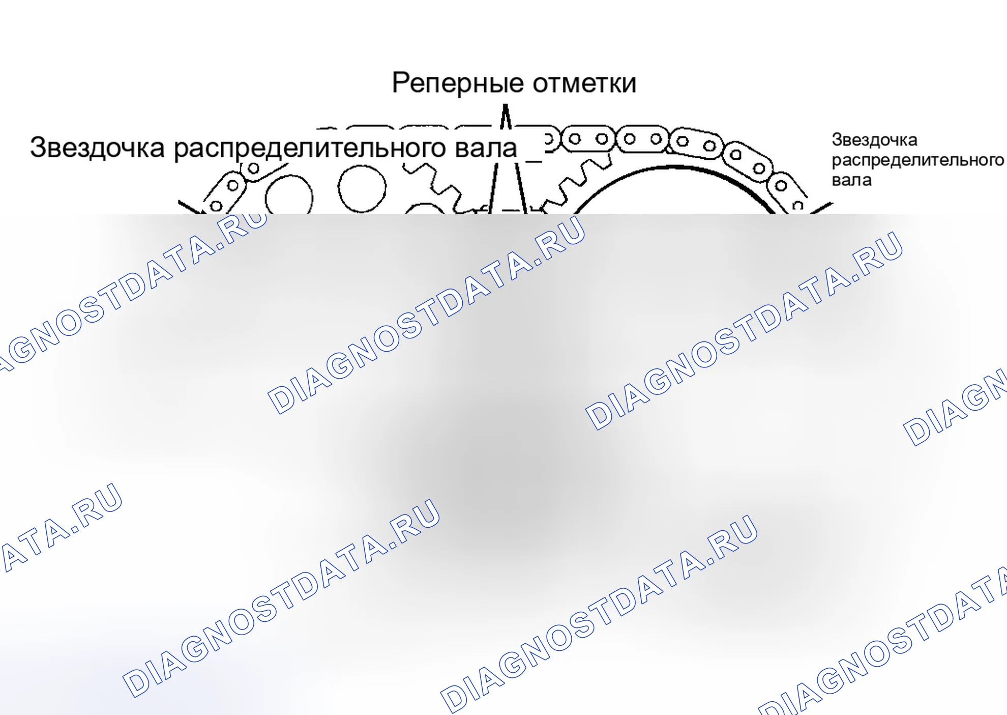 Рис. 10: Celica 1.8L 1ZZ-FE и Corolla. Toyota Camry Solara I