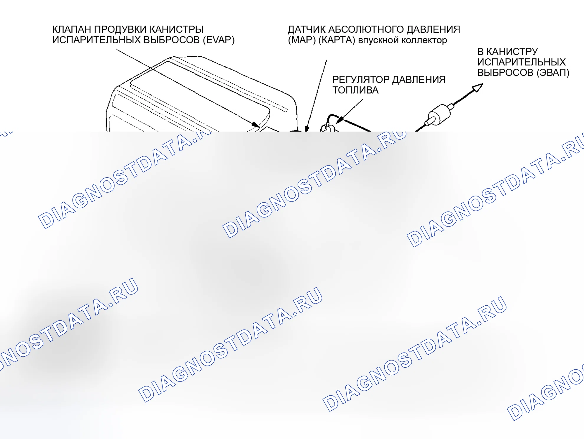 Рис. 29: Трассировка вакуумного шланга. Honda Pilot I