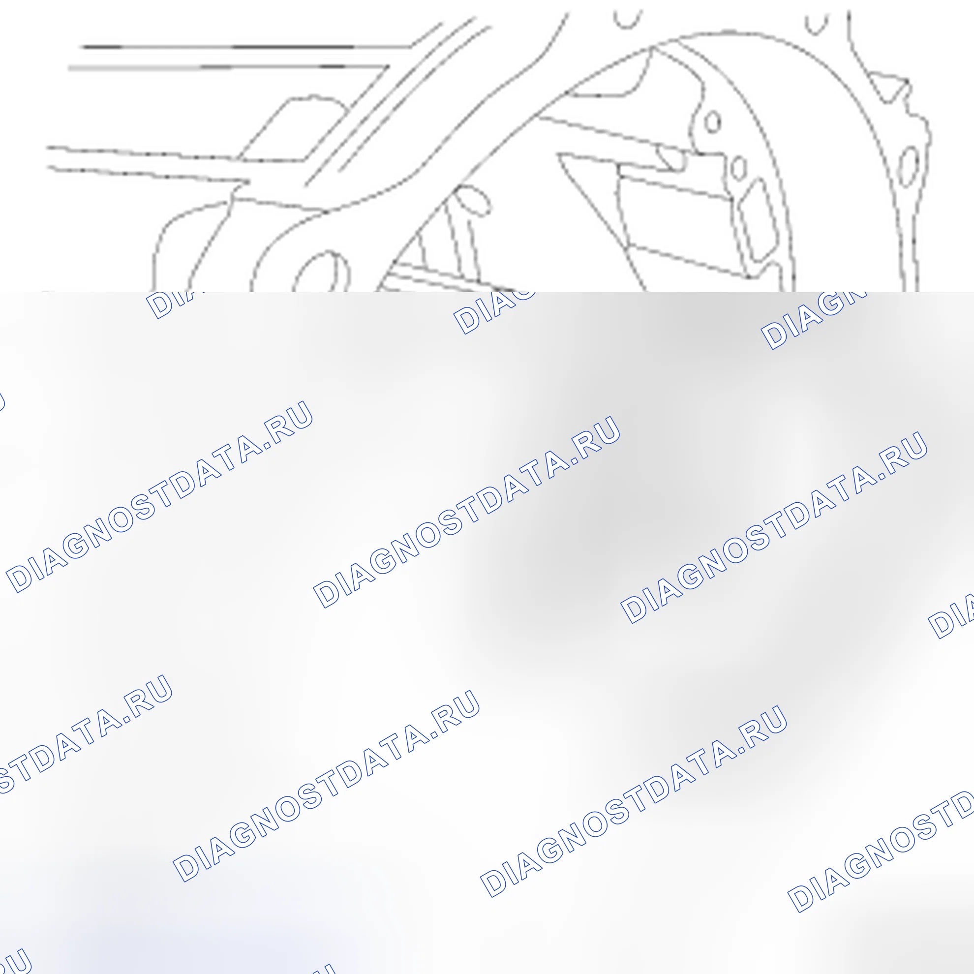 Рис. 311. Dodge Cab & Chassis R3500 HD 