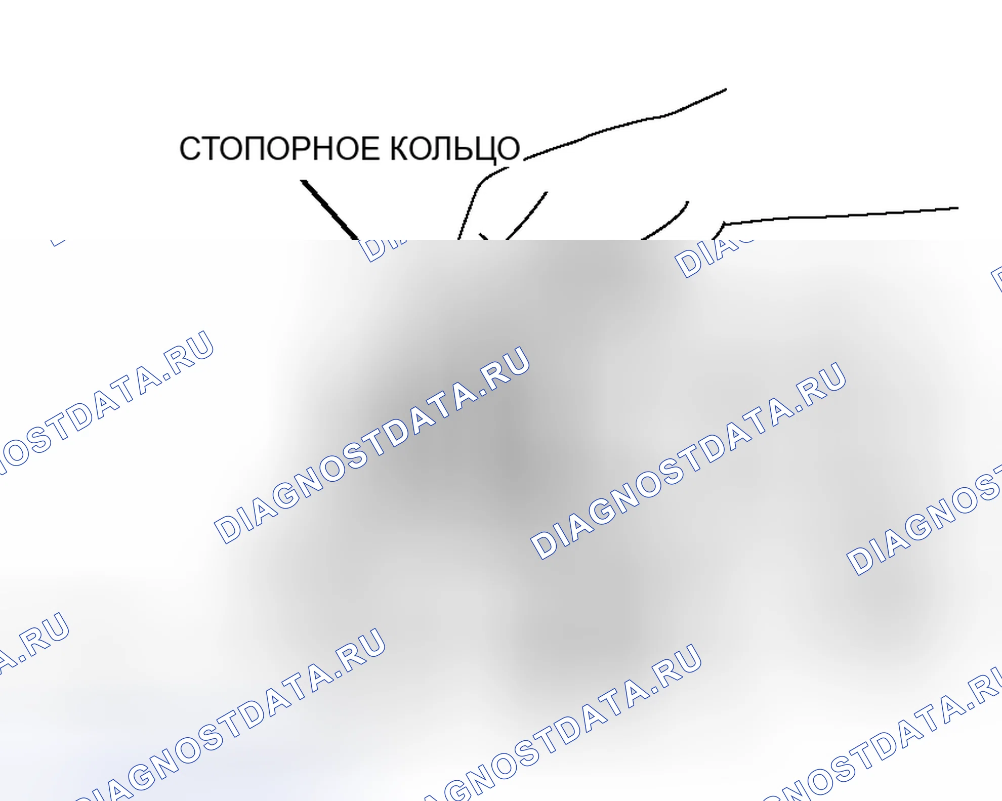 Рис. 576. Honda Freed+ I