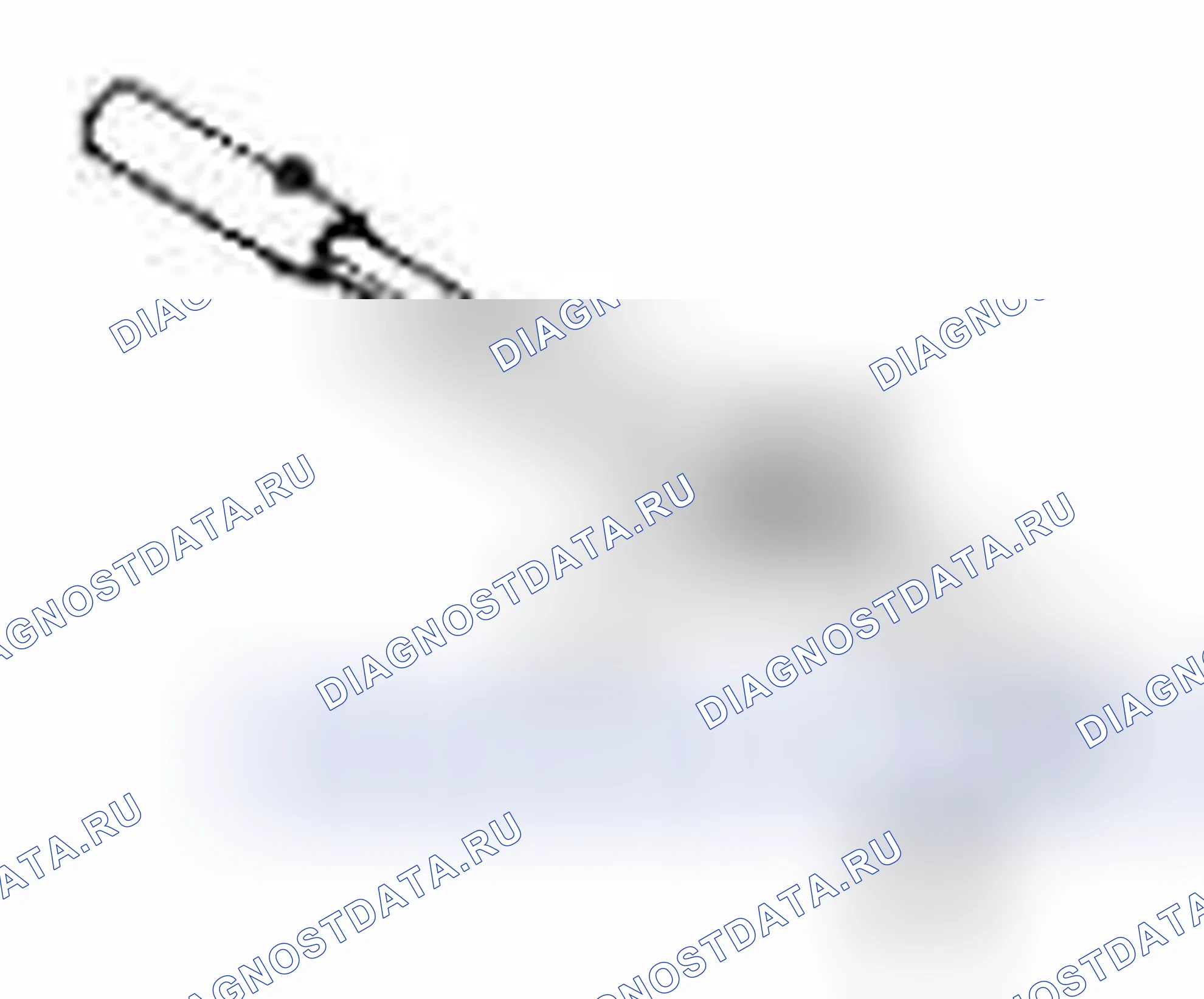Рис. 56. Suzuki Kizashi I