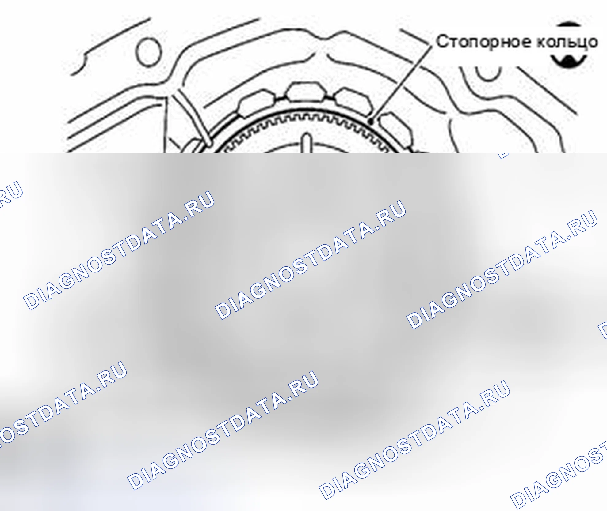Рис. 158. Suzuki Equator I