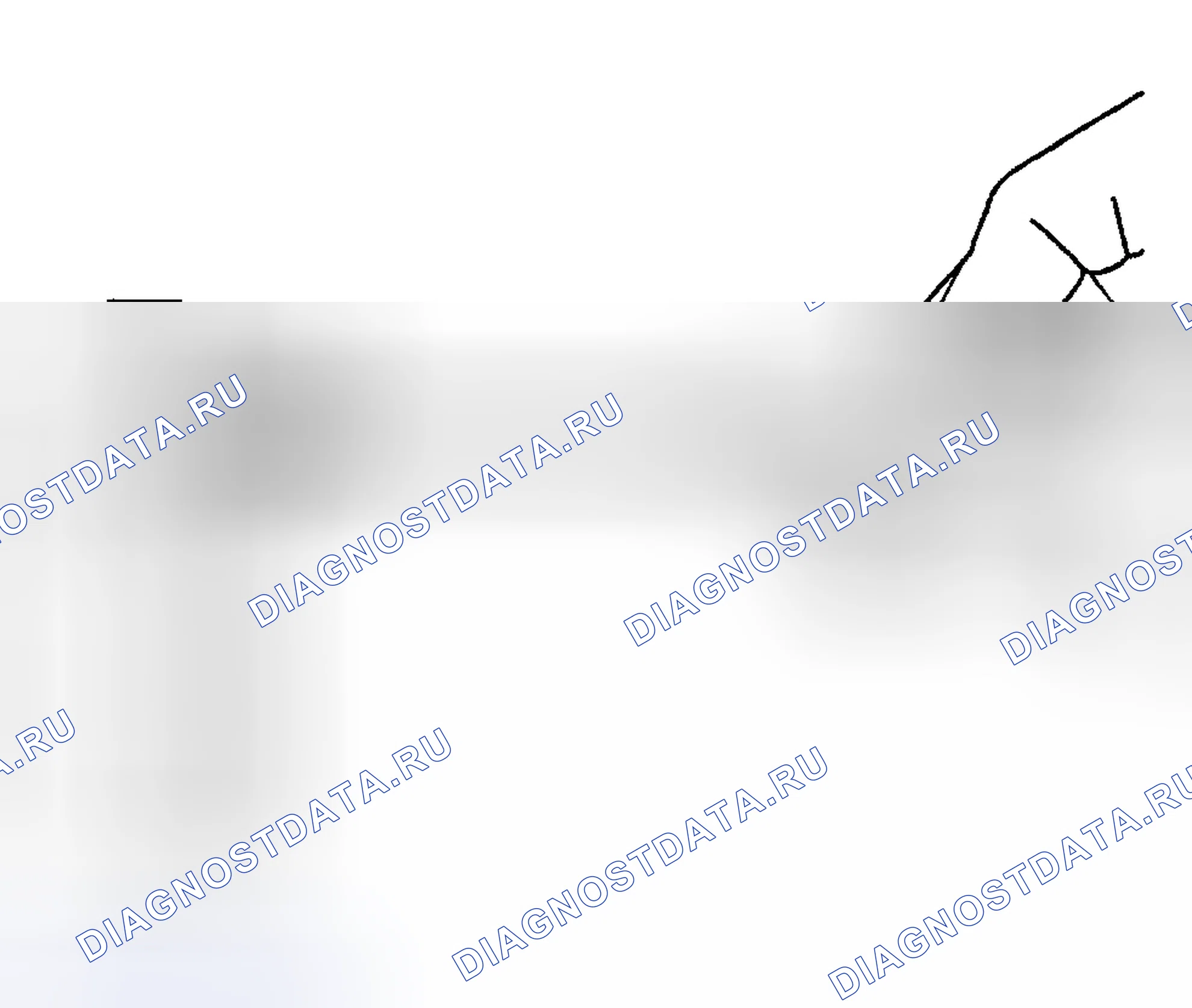 Рис. 1665. Hyundai Terracan I