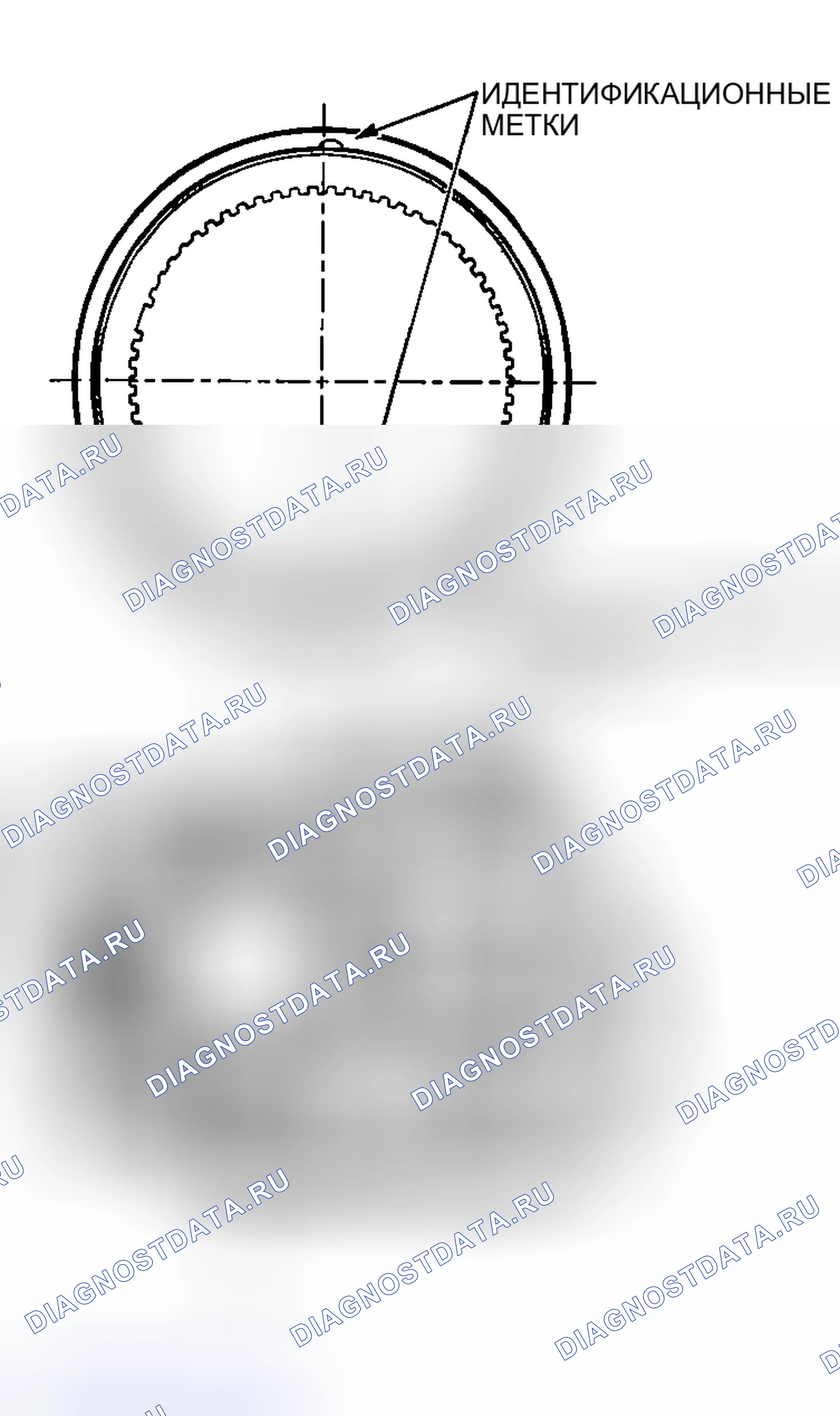 Рис. 2235. Honda Edix I