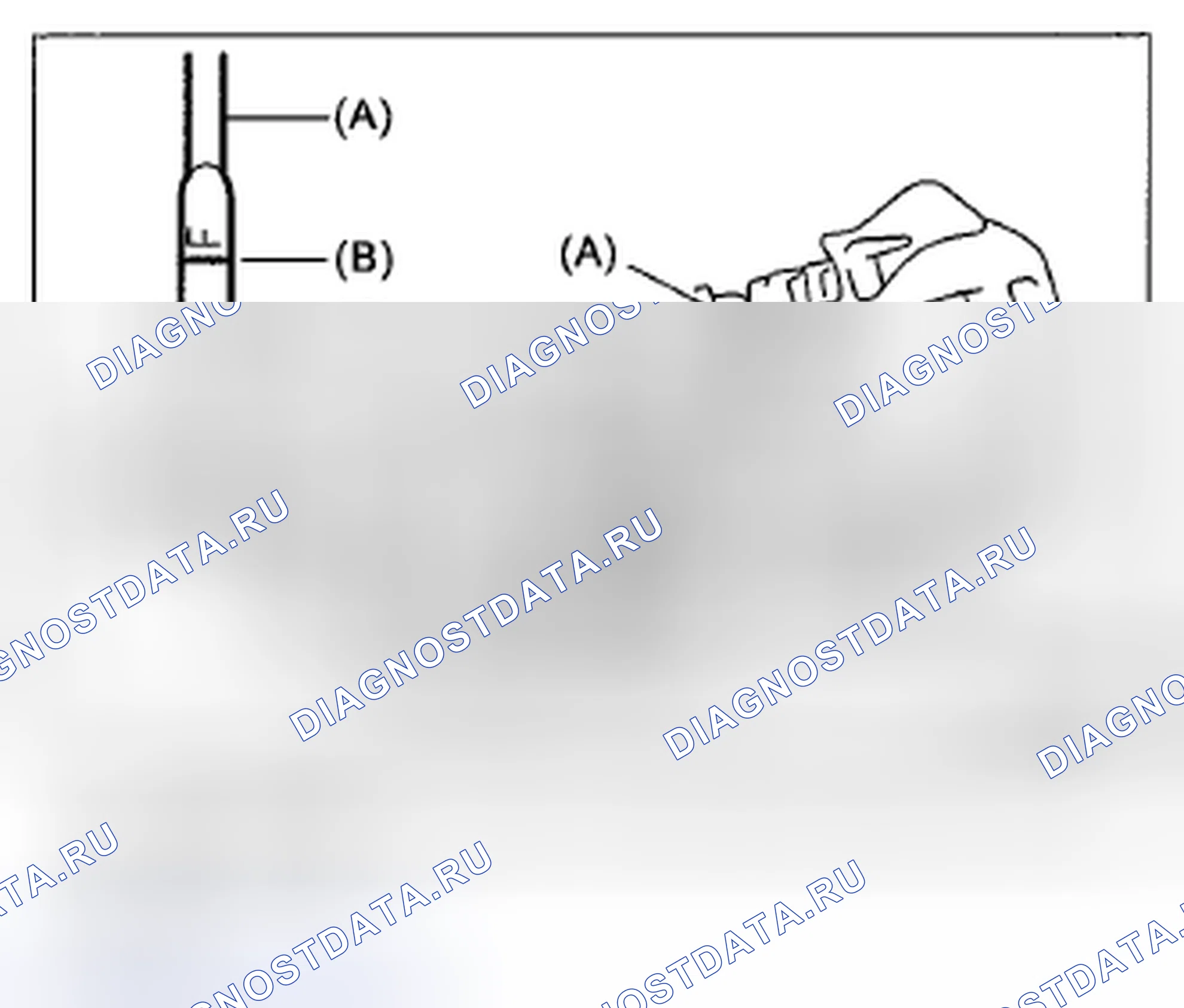 Рис. 191. Subaru Impreza GH