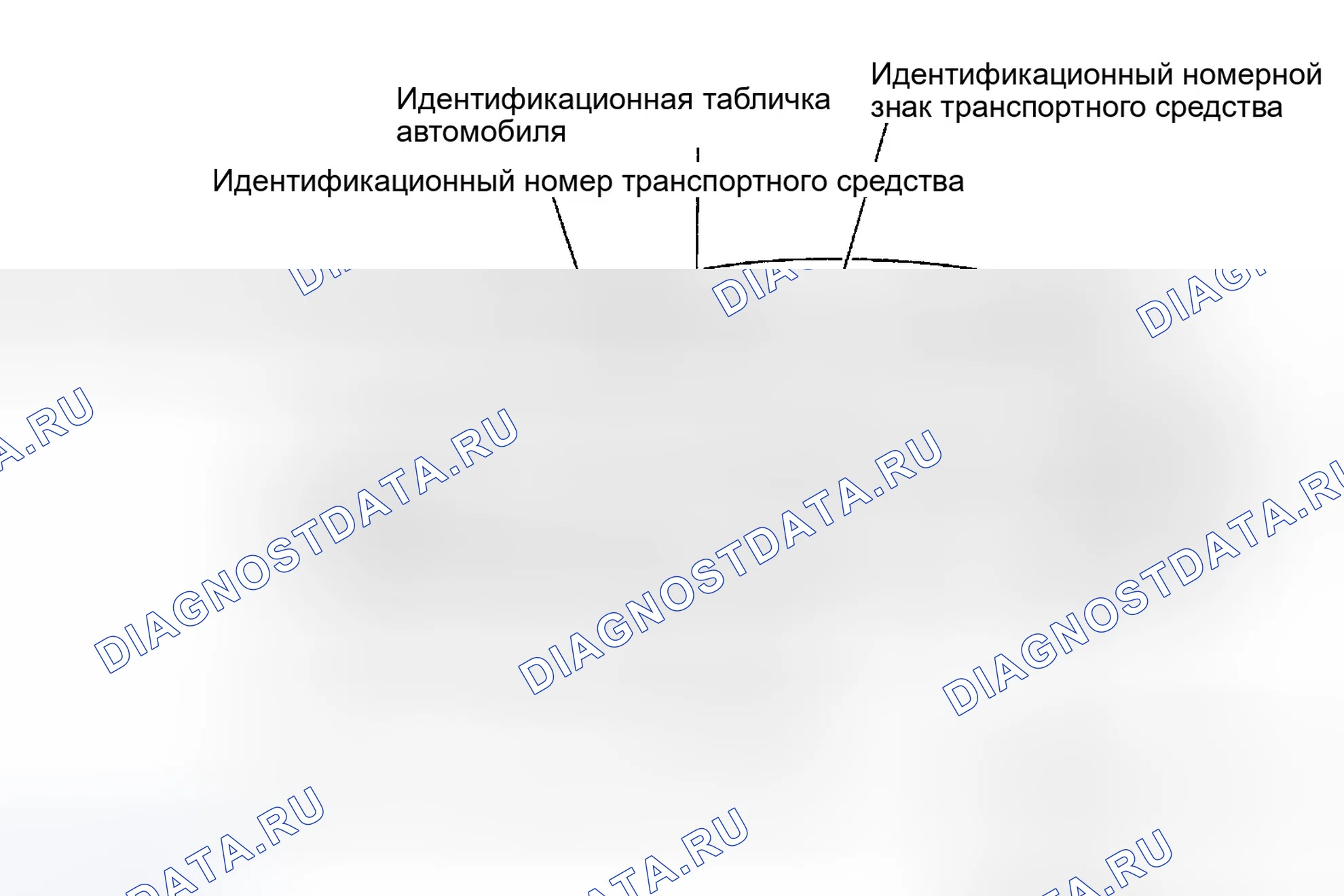 Рис. 16: Идентификационный номер. Infiniti I35 II