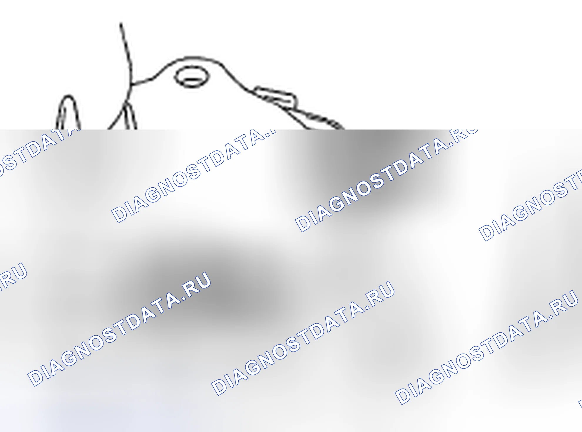 Рис. 15. Subaru Impreza GH