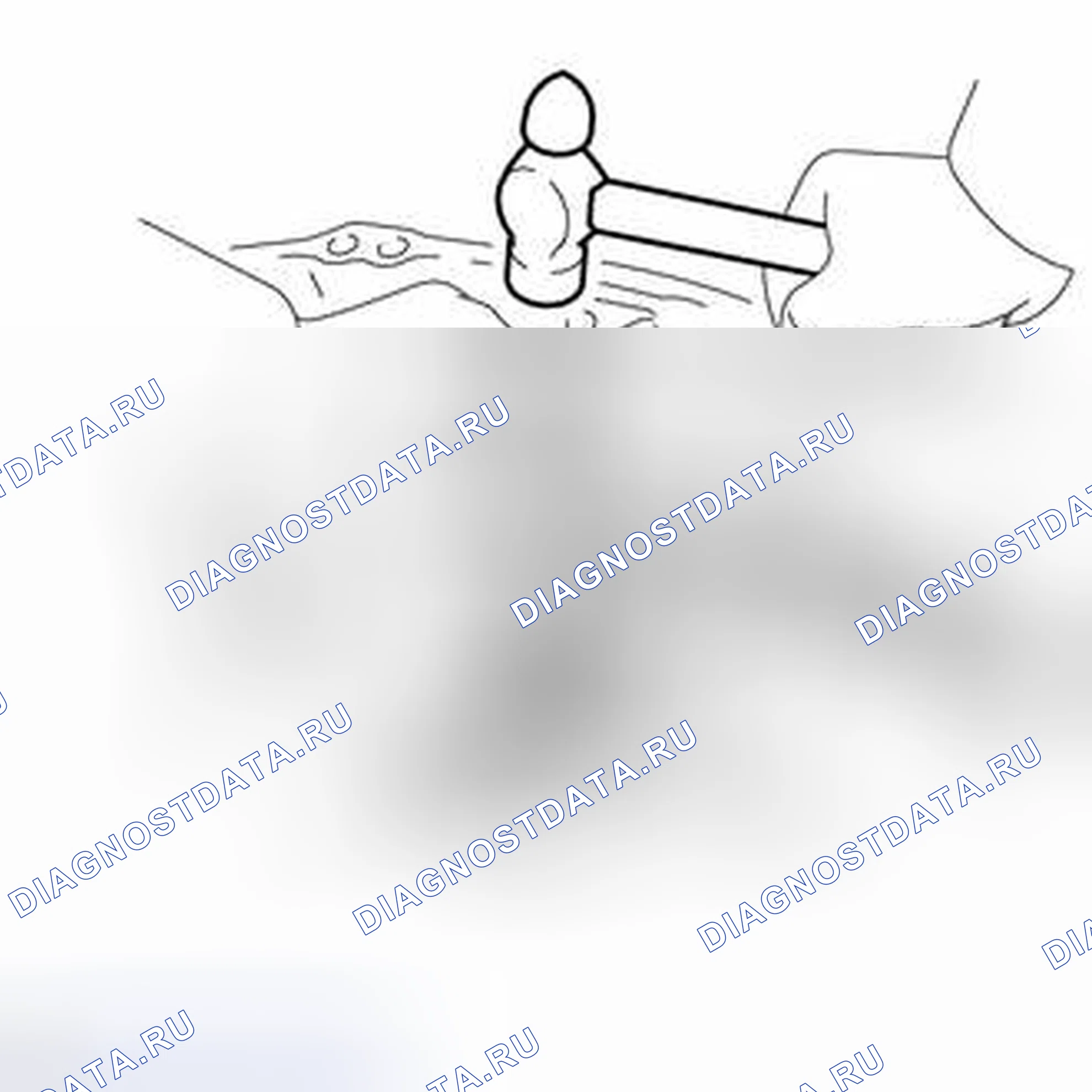 Рис. 86. Toyota Corolla XI