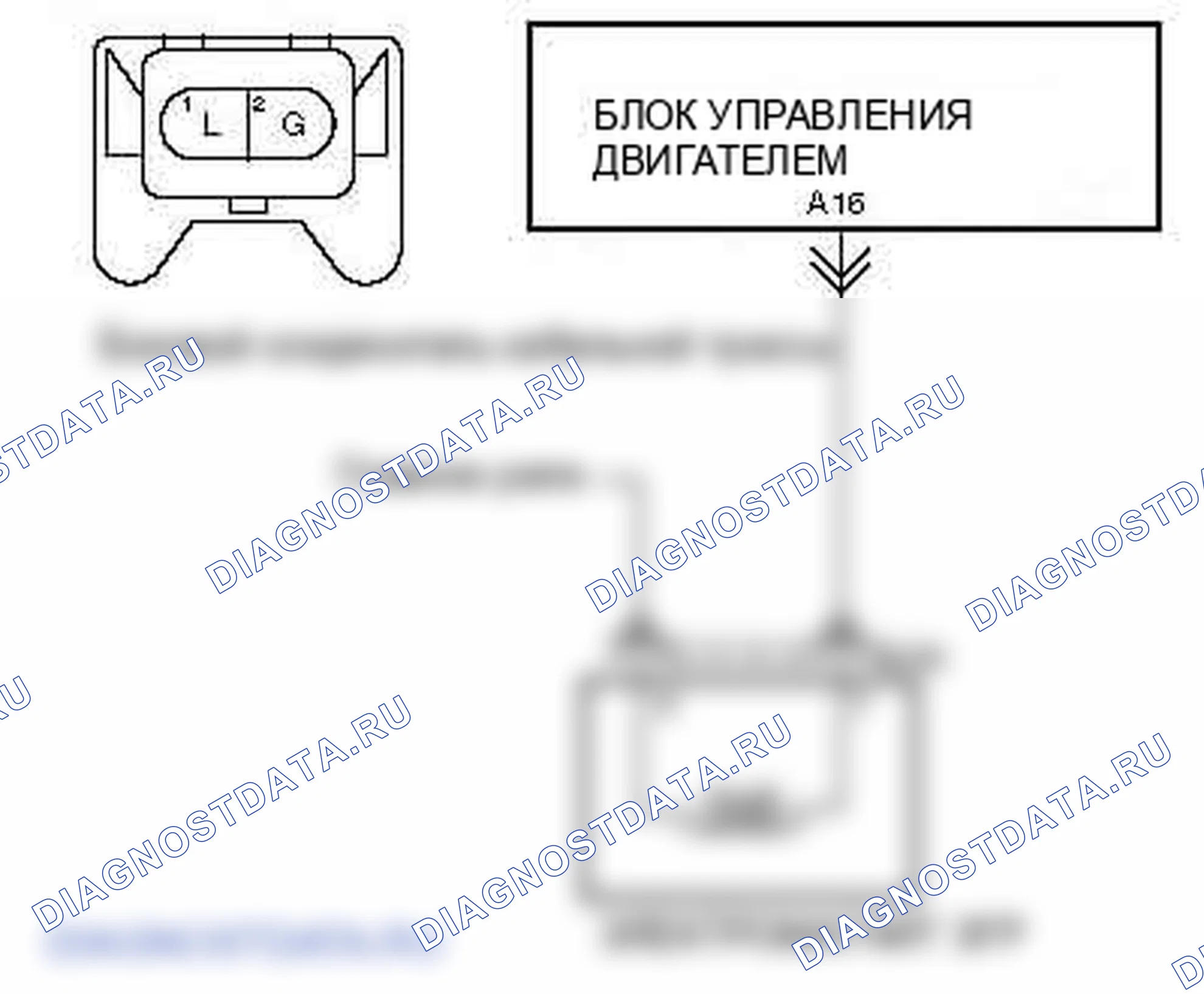 P0403: Неисправность цепи рециркуляция отработавших газов. Kia Sorento BL