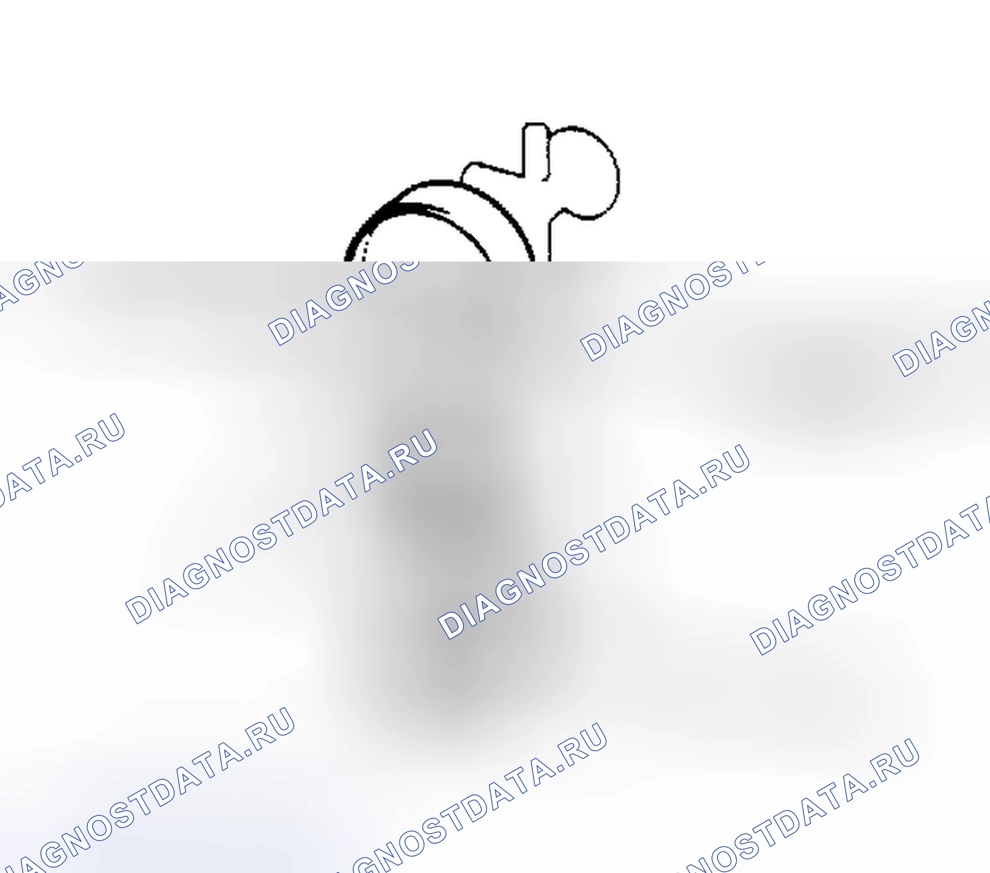 Рис. 4. Toyota 4Runner I