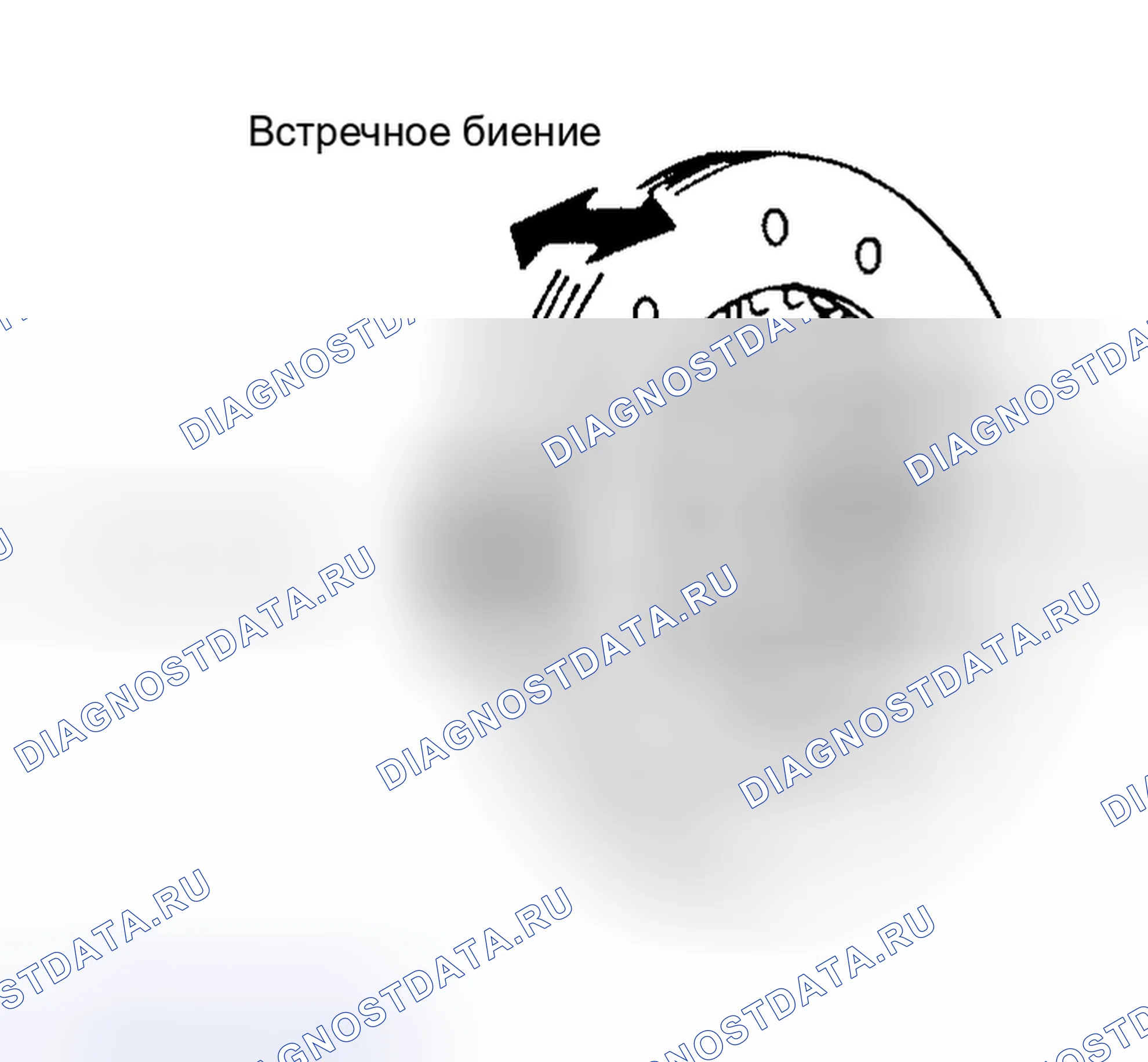 Рис. 17. Nissan Altima L31 рестайлинг