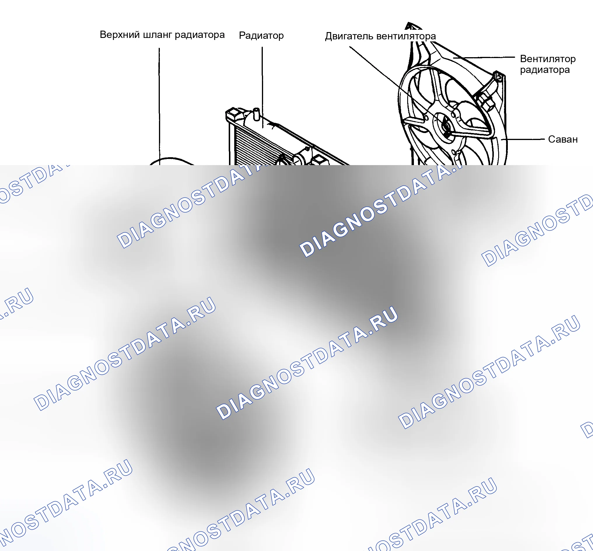 Рис. 381: КОМПОНЕНТЫ. Hyundai Santa Fe I