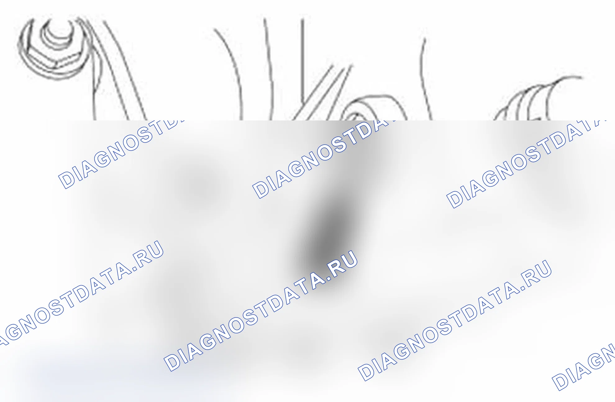 Рис. 161: Удаление. Ford Transit Connect I рестайлинг