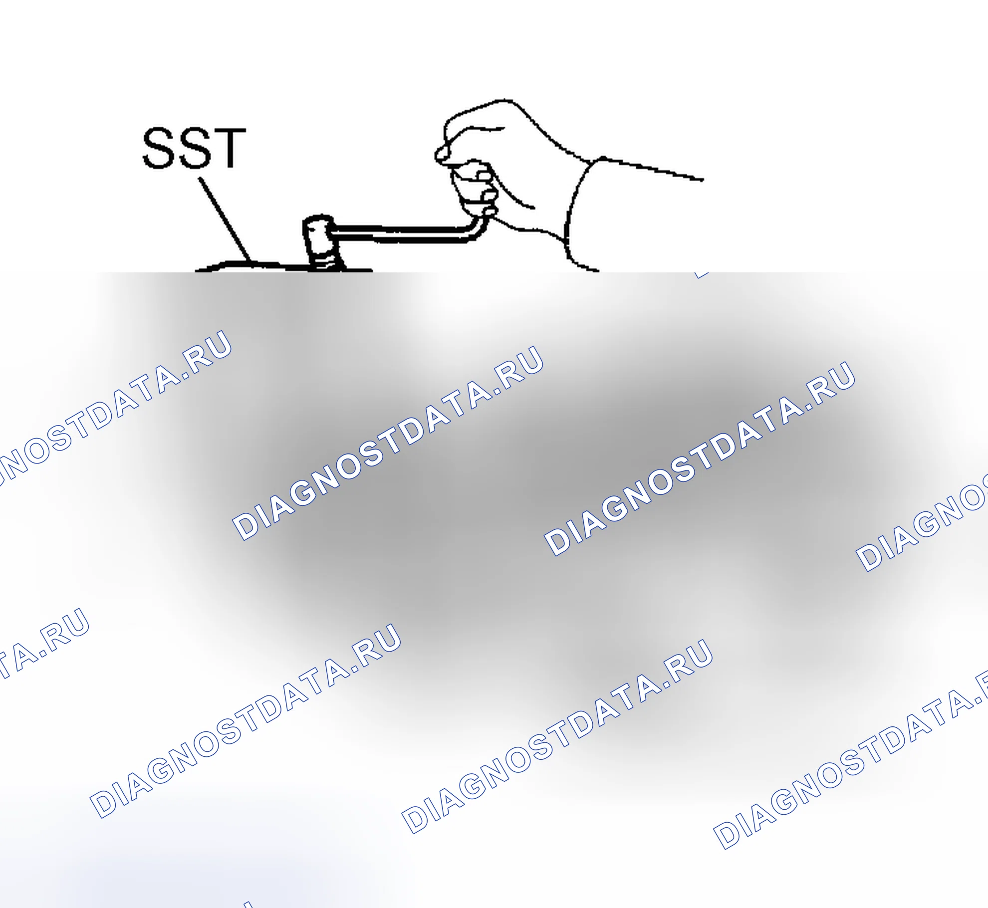Рис. 366. Scion tC I