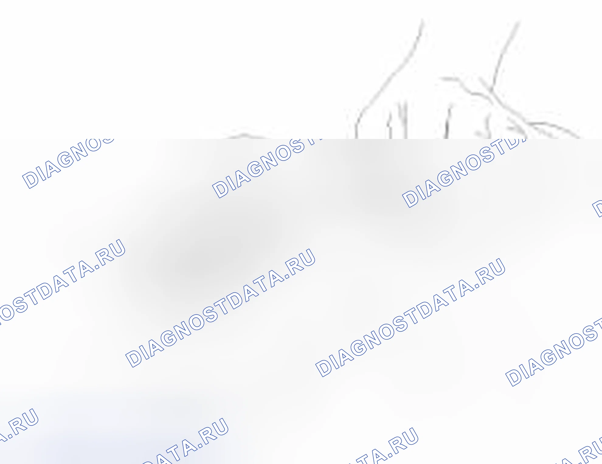 Рис. 39. Geely Vision X3 Pro I