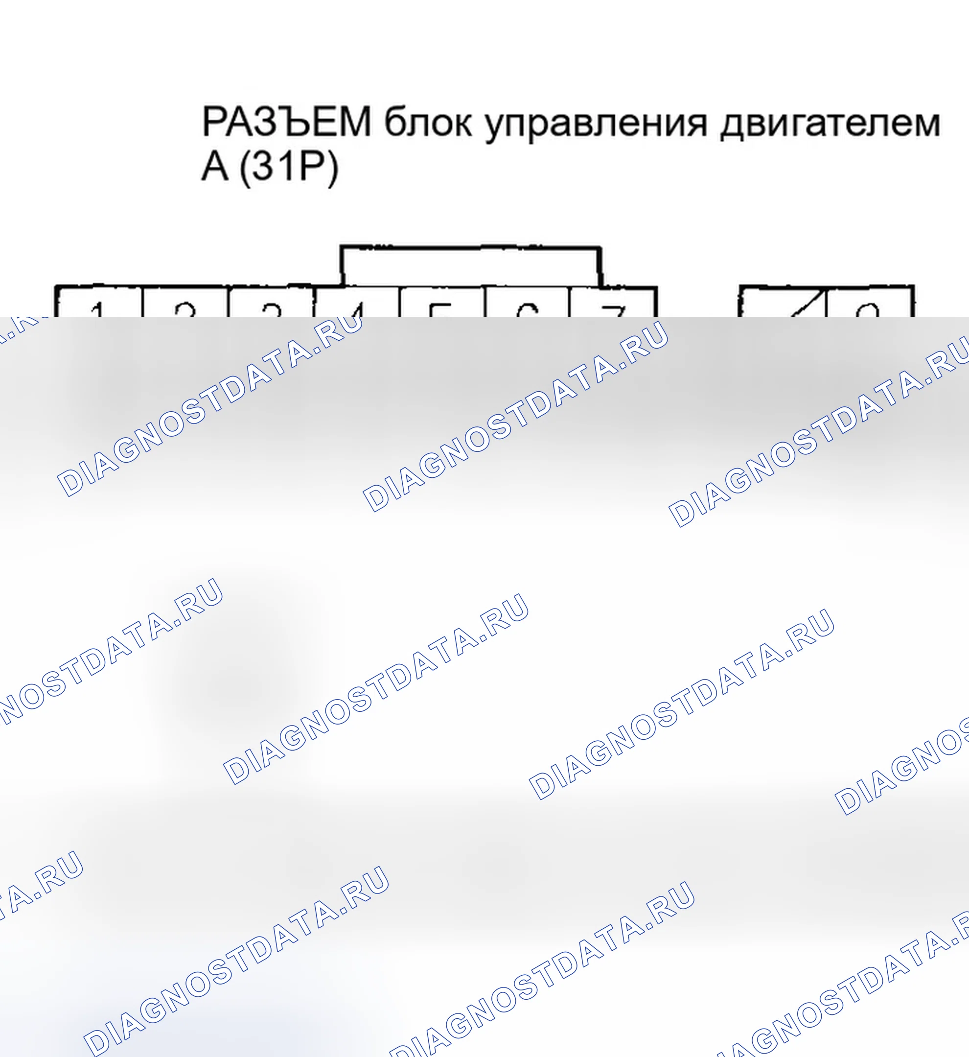 Рис. 729. Honda Civic VII рестайлинг