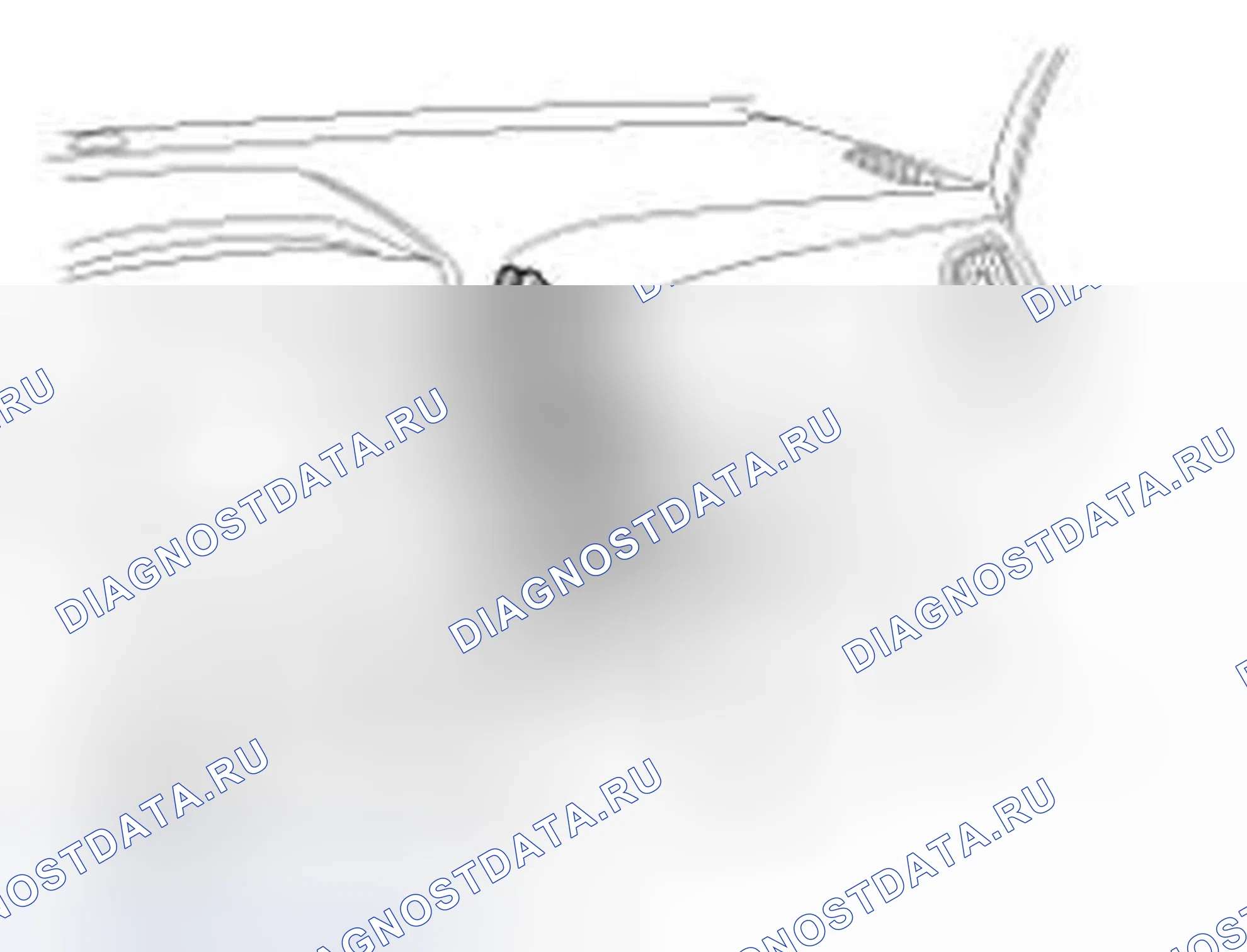 Рис. 49. Hyundai Tucson II