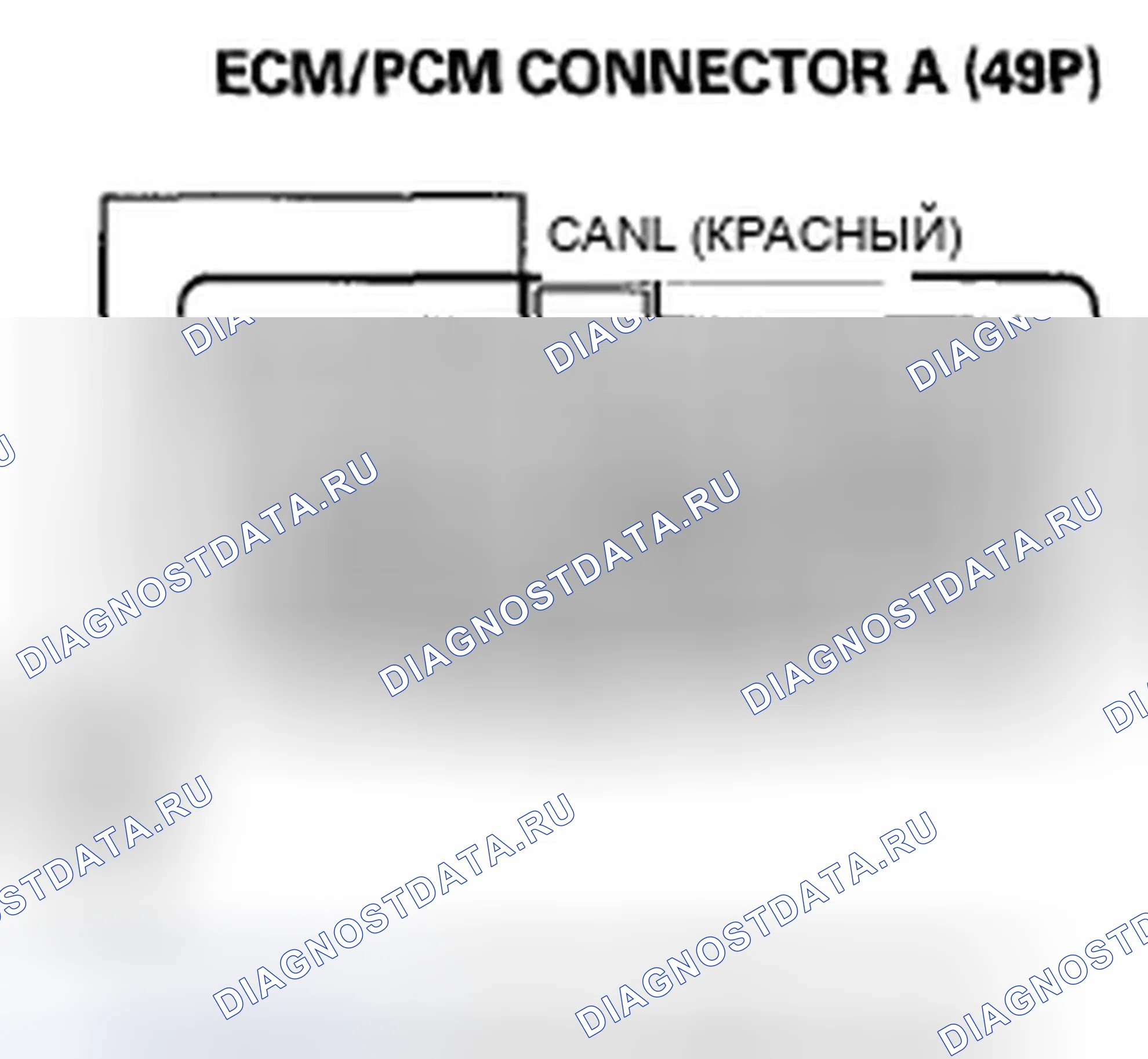 Рис. 857. Honda Accord VIII рестайлинг