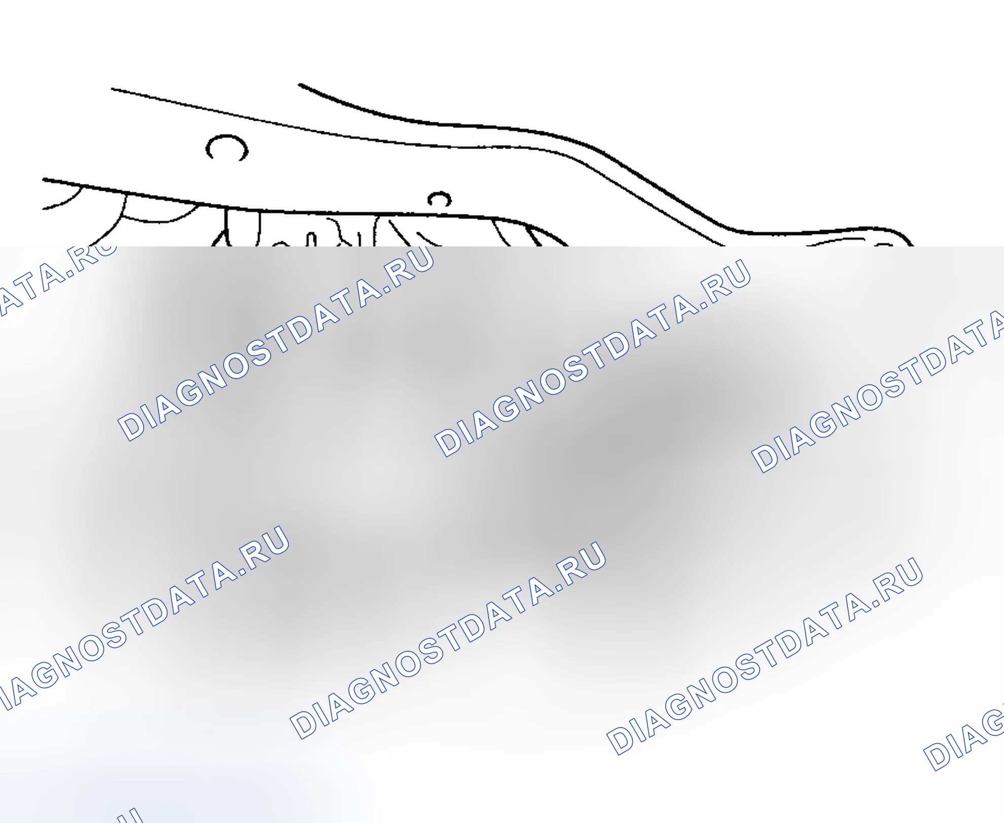 Рис. 26. Hyundai Tiburon II рестайлинг