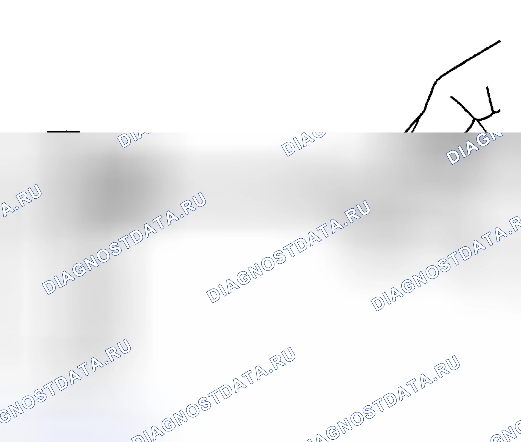 Рис. 1339. Hyundai Terracan I