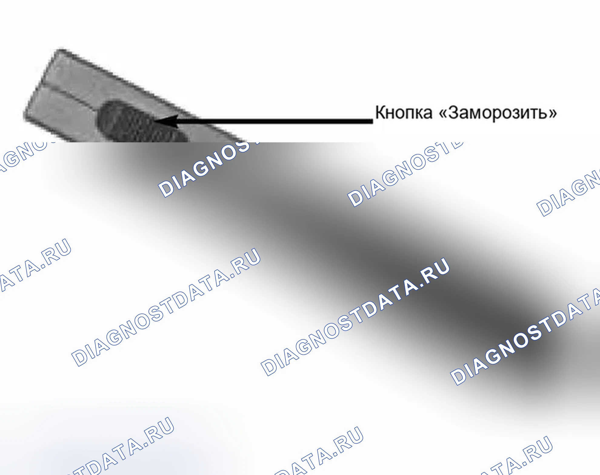 Рис. 583: Идентификация кнопки замораживания. BMW X5 E53
