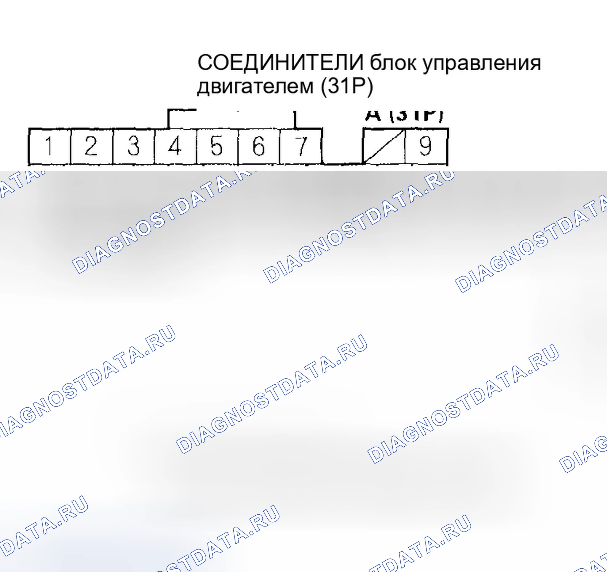 Рис. 601. Honda Civic VII рестайлинг
