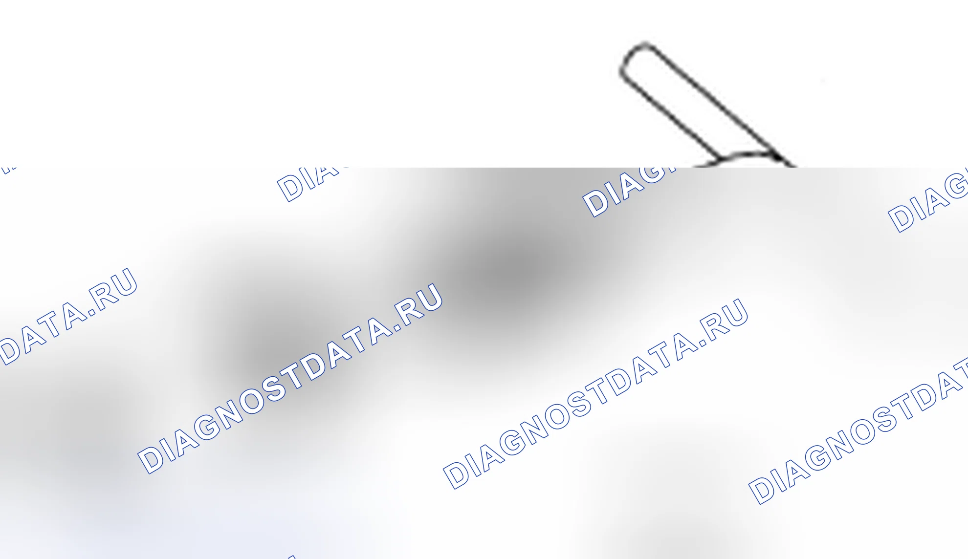 Рис. 203. Audi RS6 C8