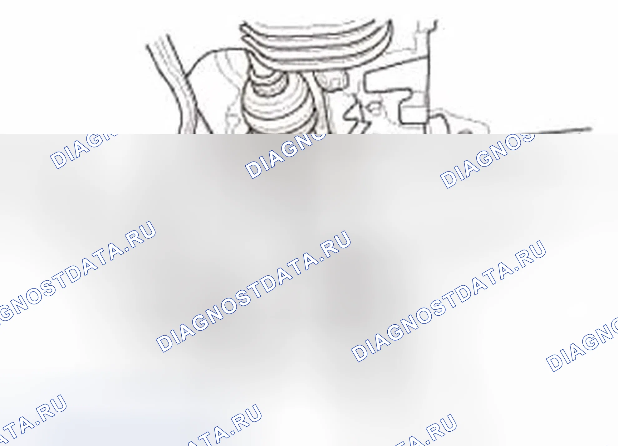 Рис. 219. Honda Civic IX