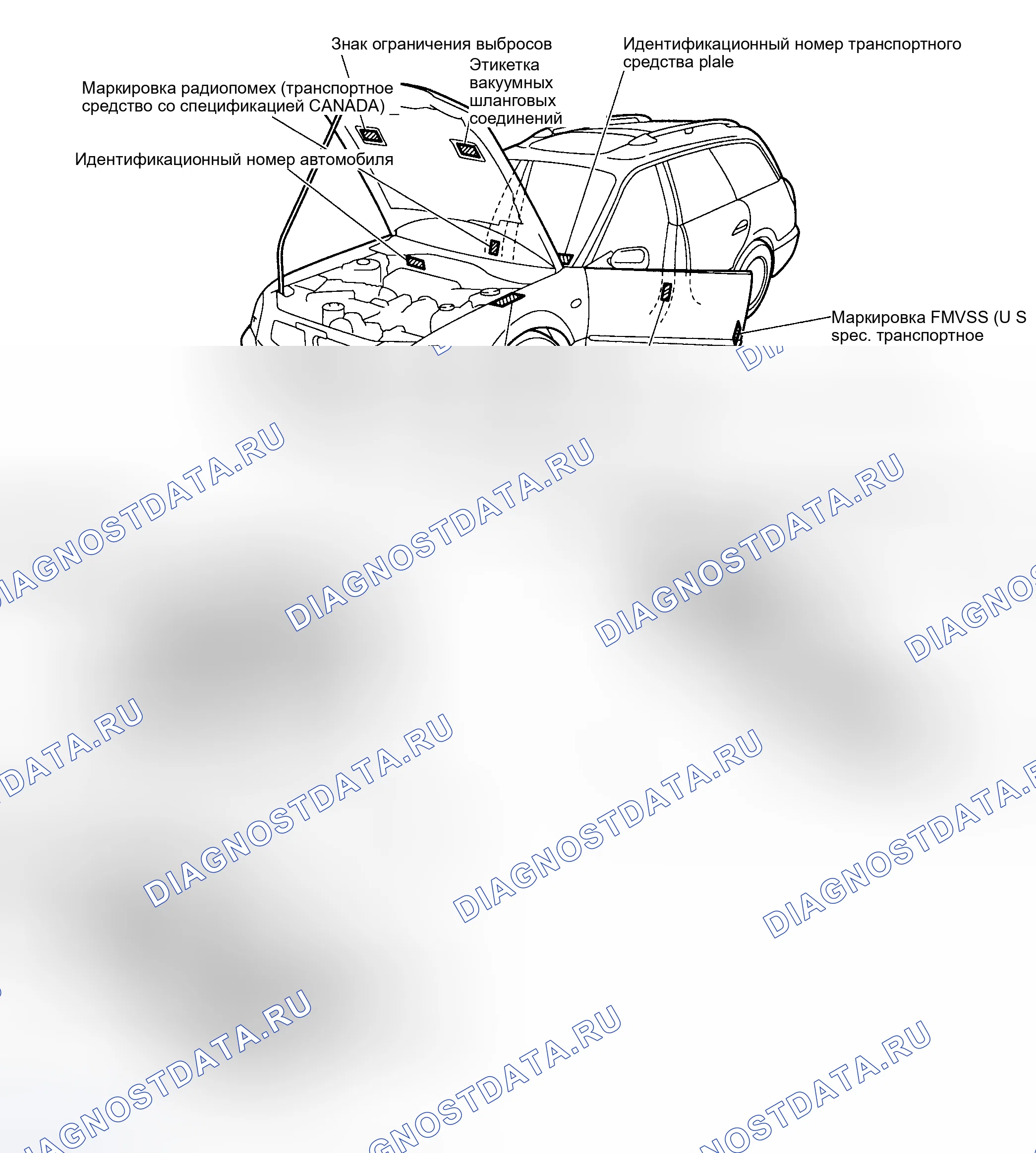Рис. 1: Определение идентификационных номеров и этикеток. Subaru Outback BH