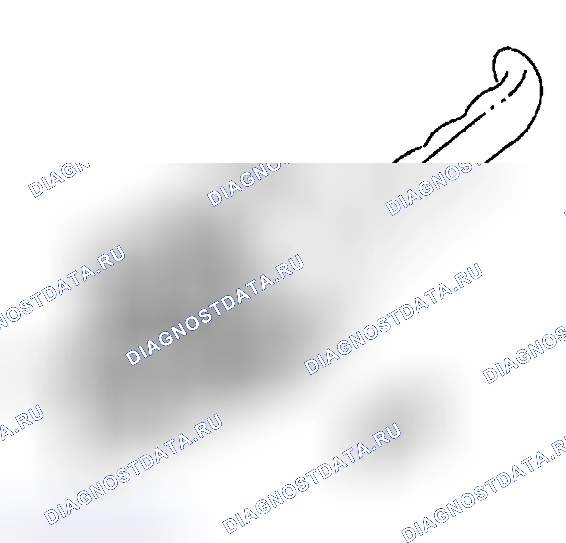 Рис. 238: Процедура установки. Chevrolet Silverado 1500 HD 