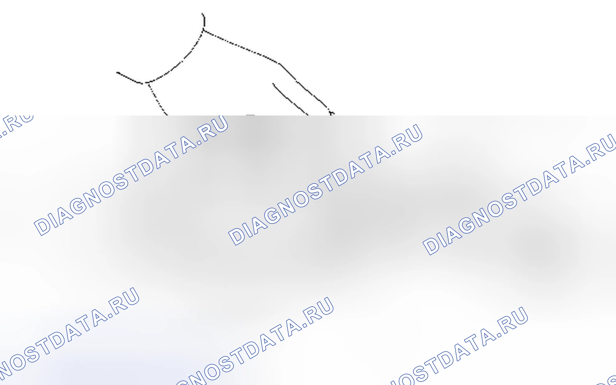 Рис. 1246. Toyota RAV4 III рестайлинг