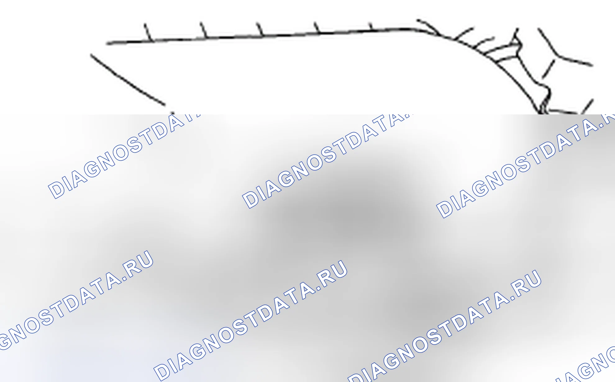 Рис. 9. Subaru Legacy BL/BP рестайлинг