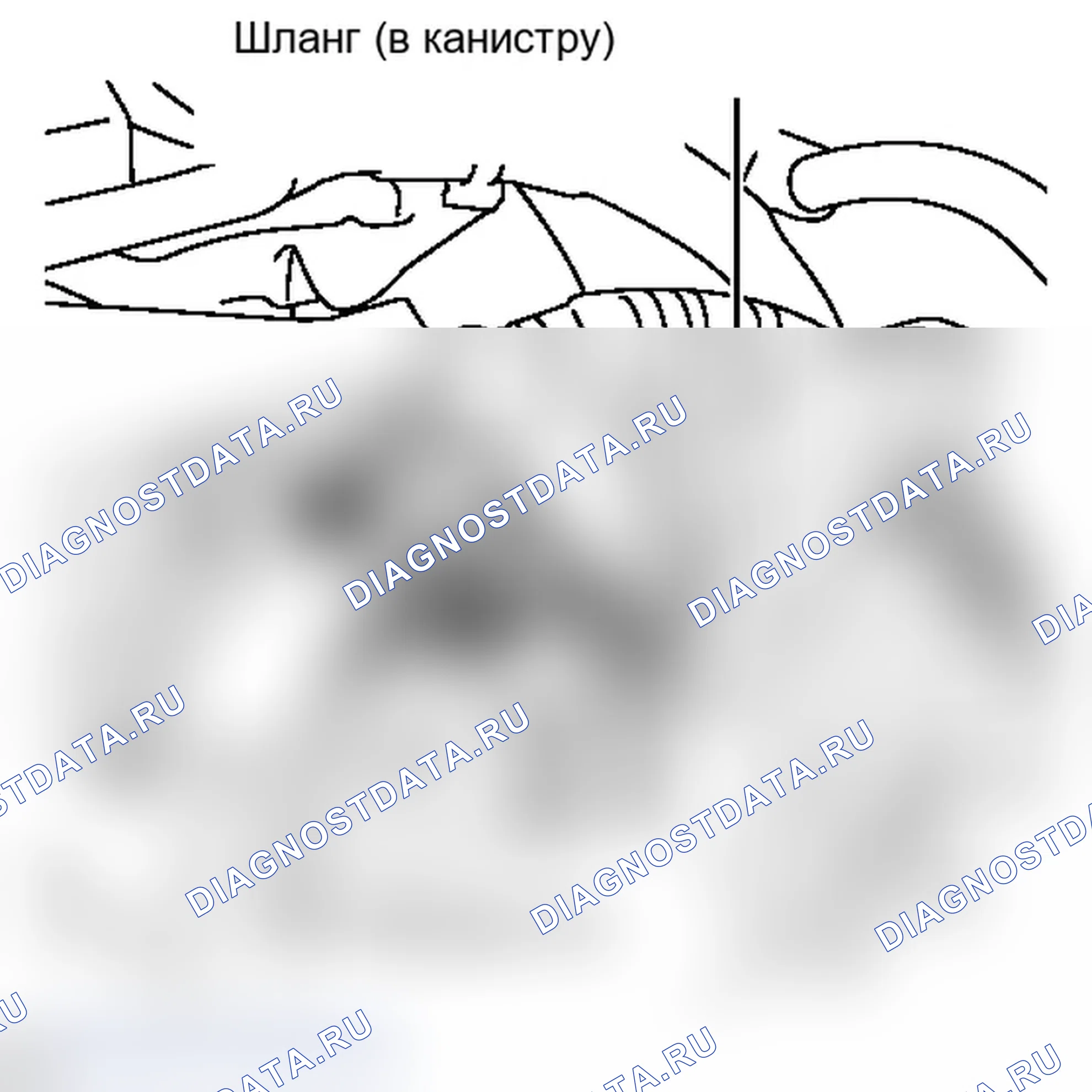 Рис. 120. Lexus IS F I