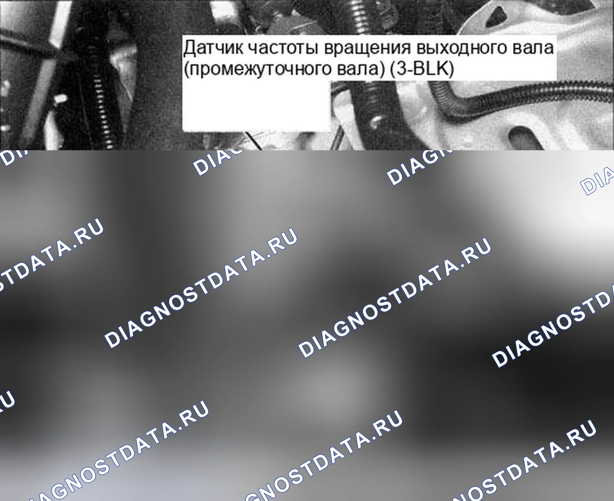 Рис. 320. Honda Accord VII рестайлинг