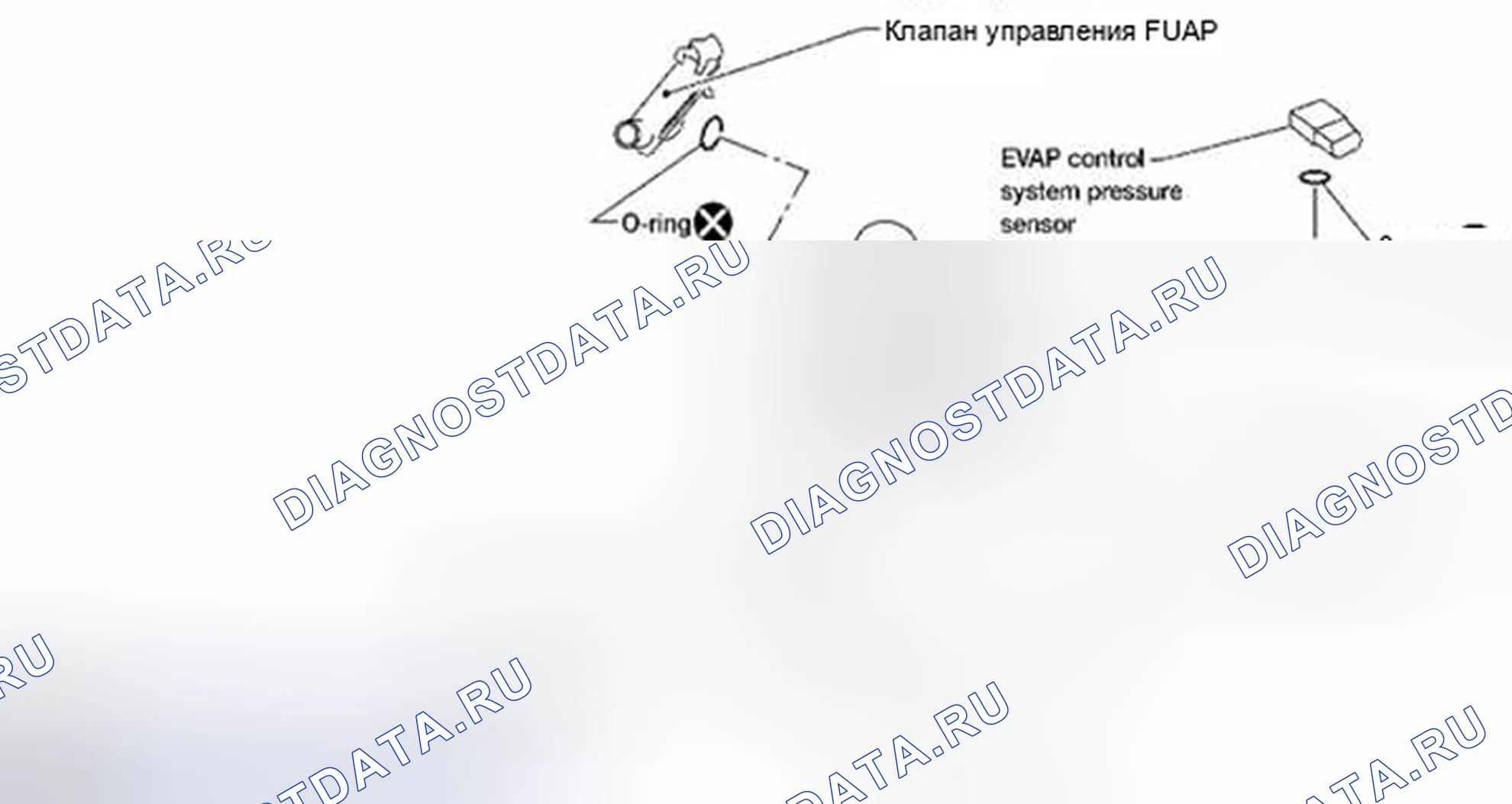 Рис. 8: КАНИСТРА EVAP. Suzuki Equator I