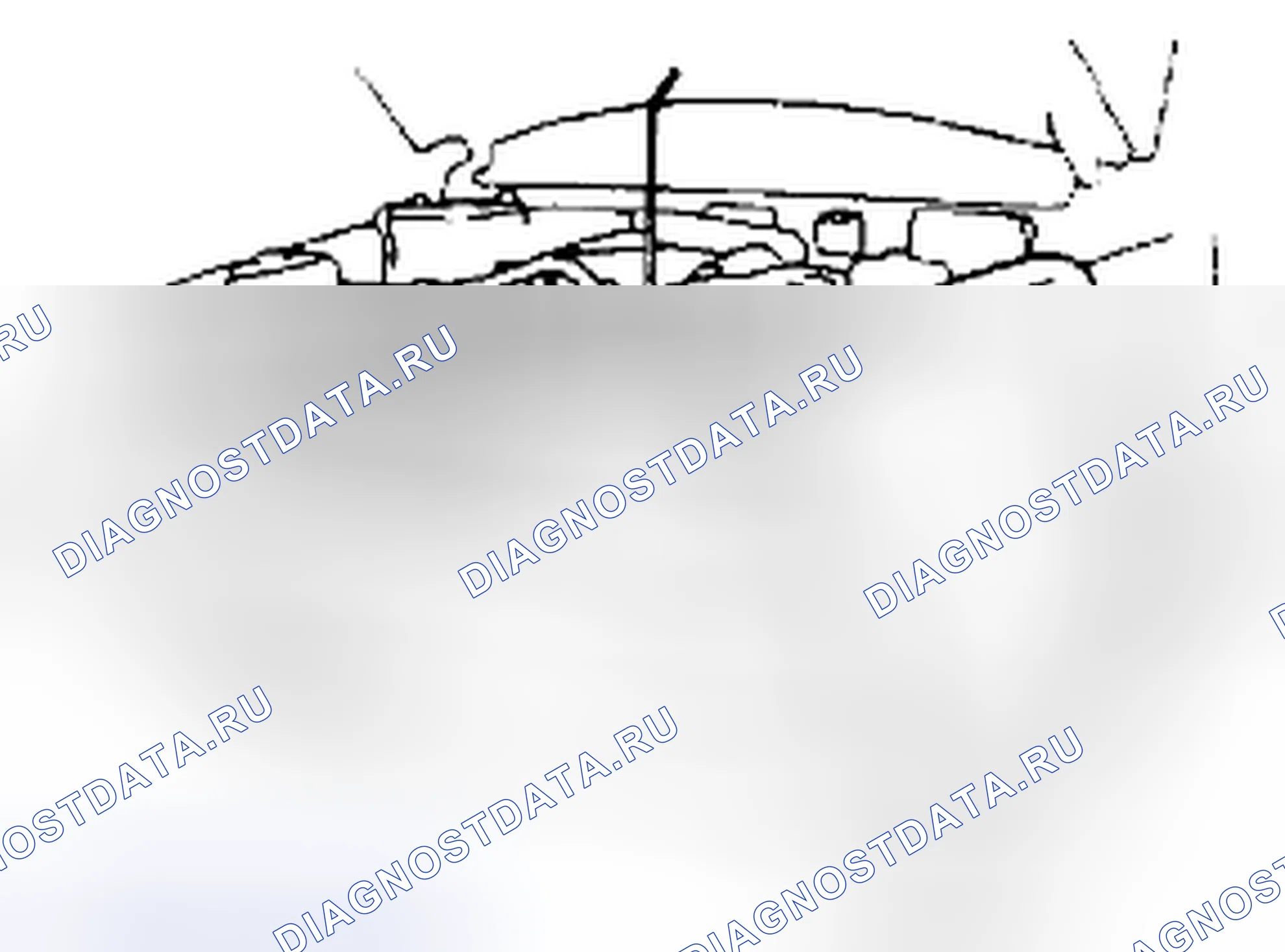 Рис. 8. Suzuki Grand Vitara II рестайлинг 2