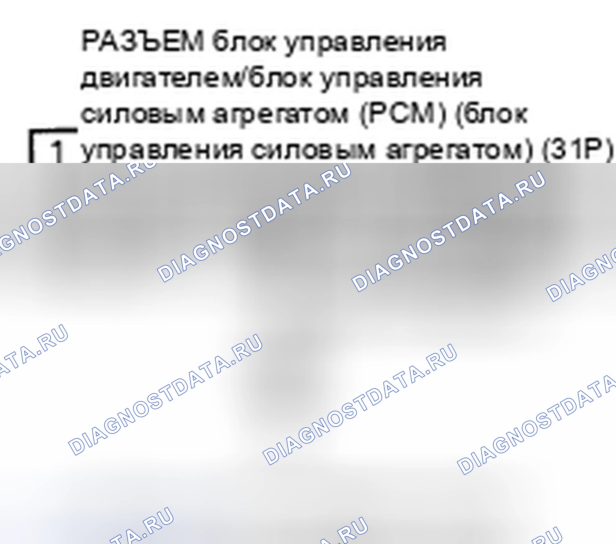 Рис. 491. Honda Element YH2 рестайлинг