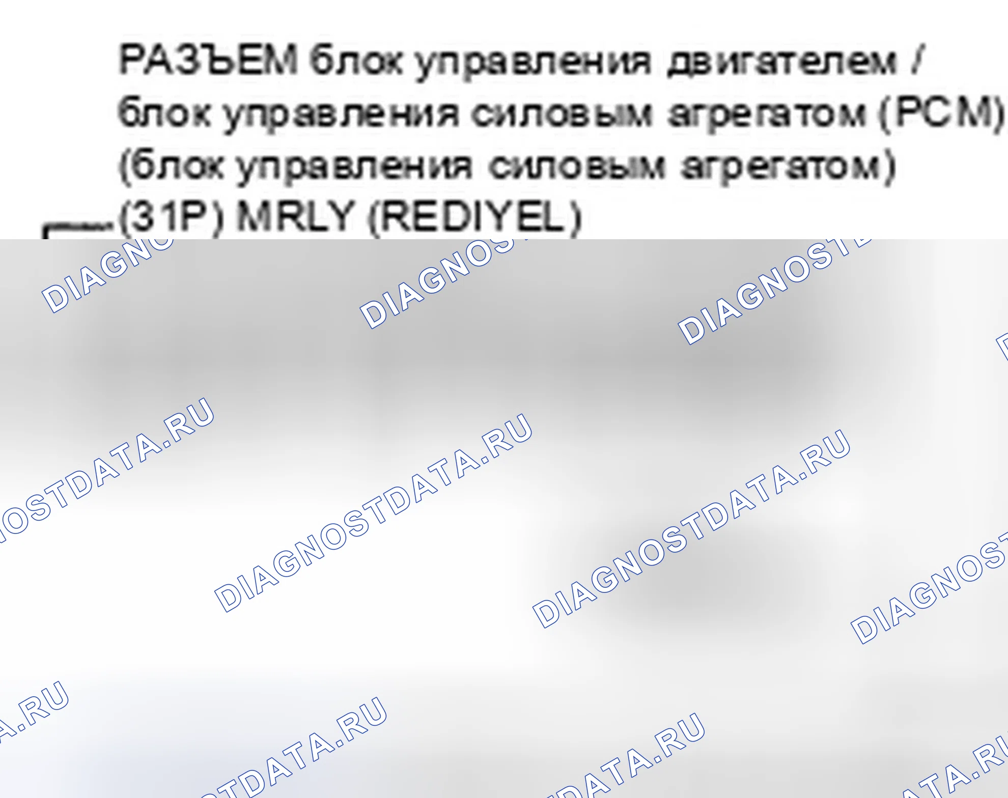 Рис. 14. Honda Element YH2 рестайлинг 2
