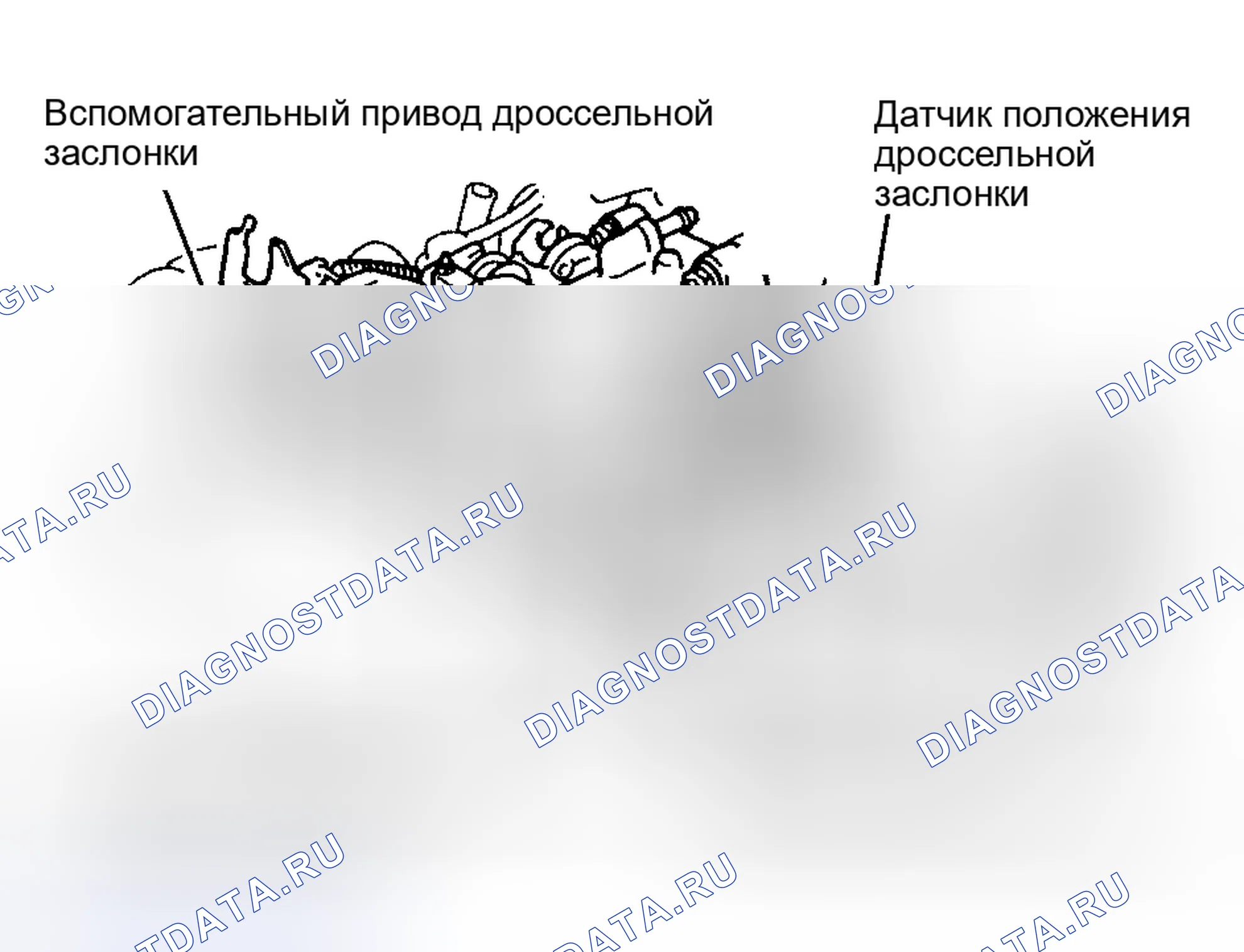Рис. 21. Honda Accord I
