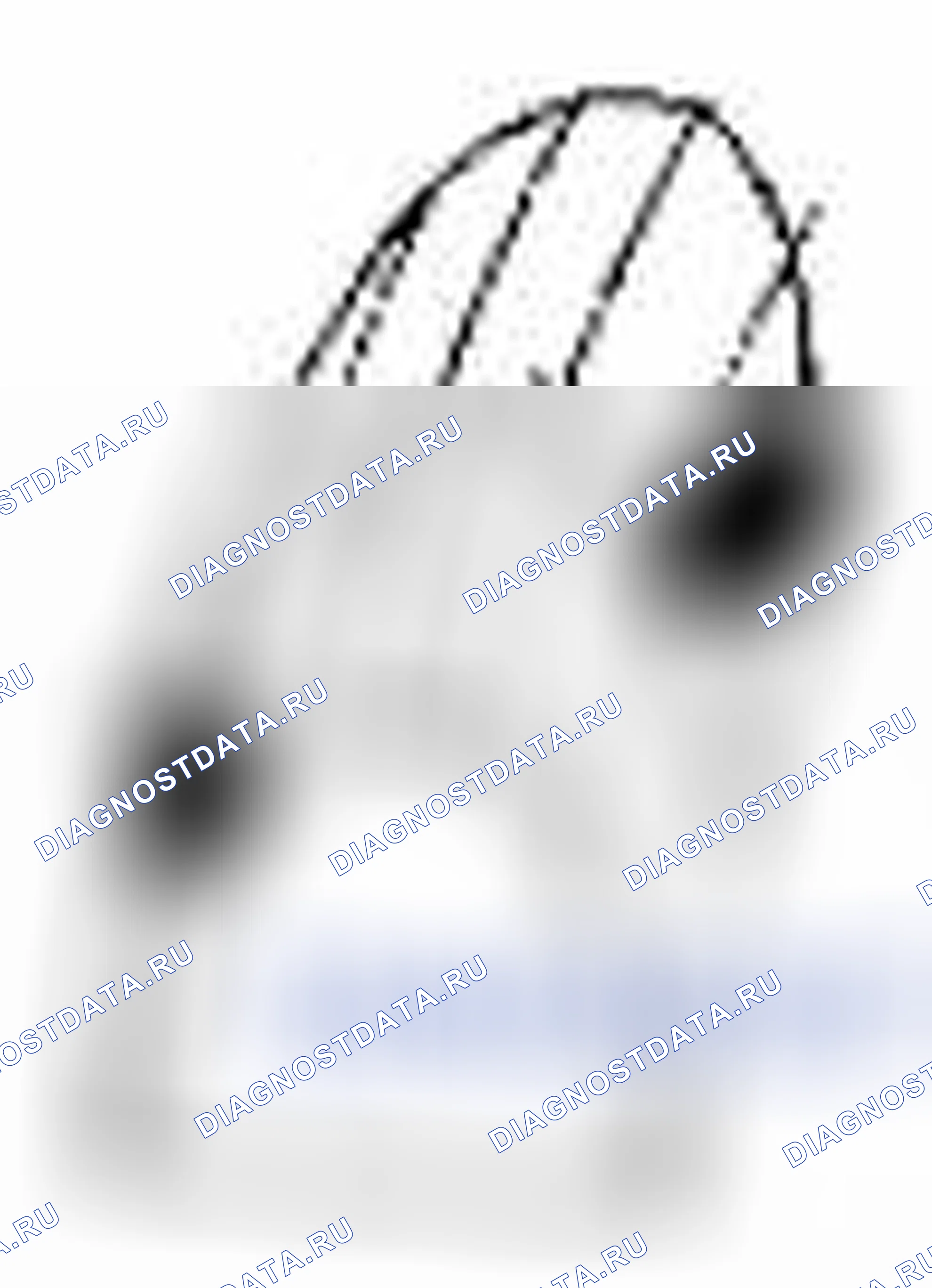 Рис. 62. Suzuki Grand Vitara II рестайлинг 2