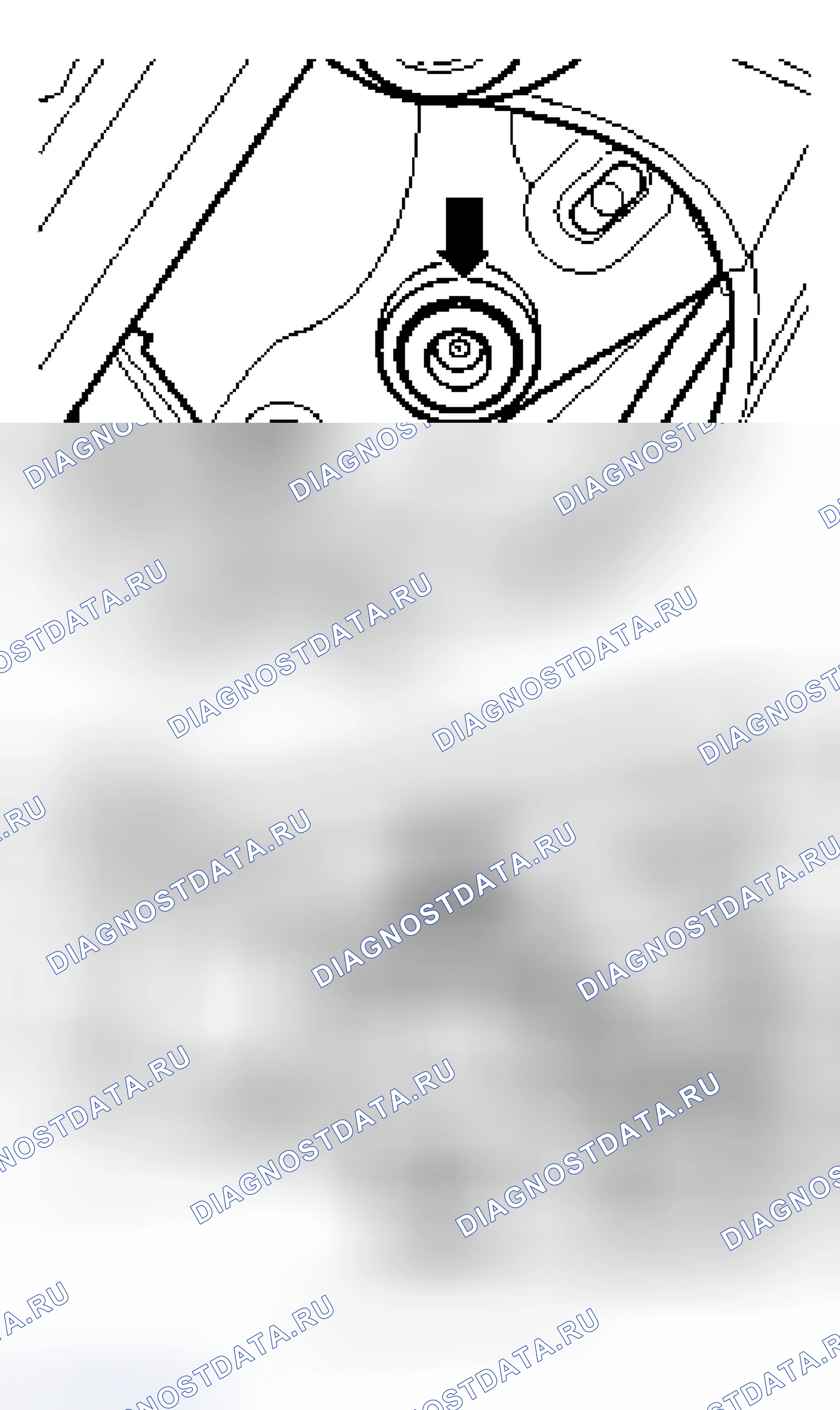 Рис. 5. Audi TT 8N