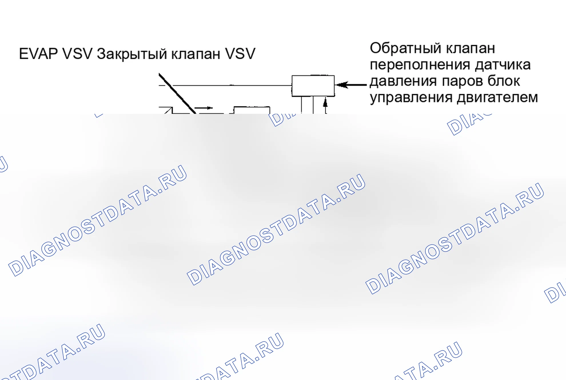 Рис. 20: Датчик давления паров (Avalon, Camry, Camry Solara, Celica, Corolla, Highlander, Matrix, MR2, RAV4,. Toyota Camry XV30