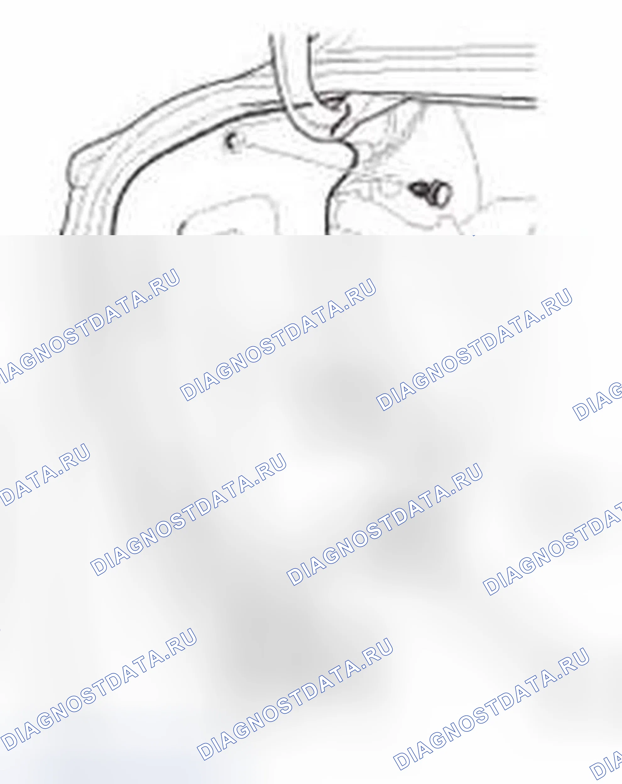 Рис. 816. Honda Civic IX