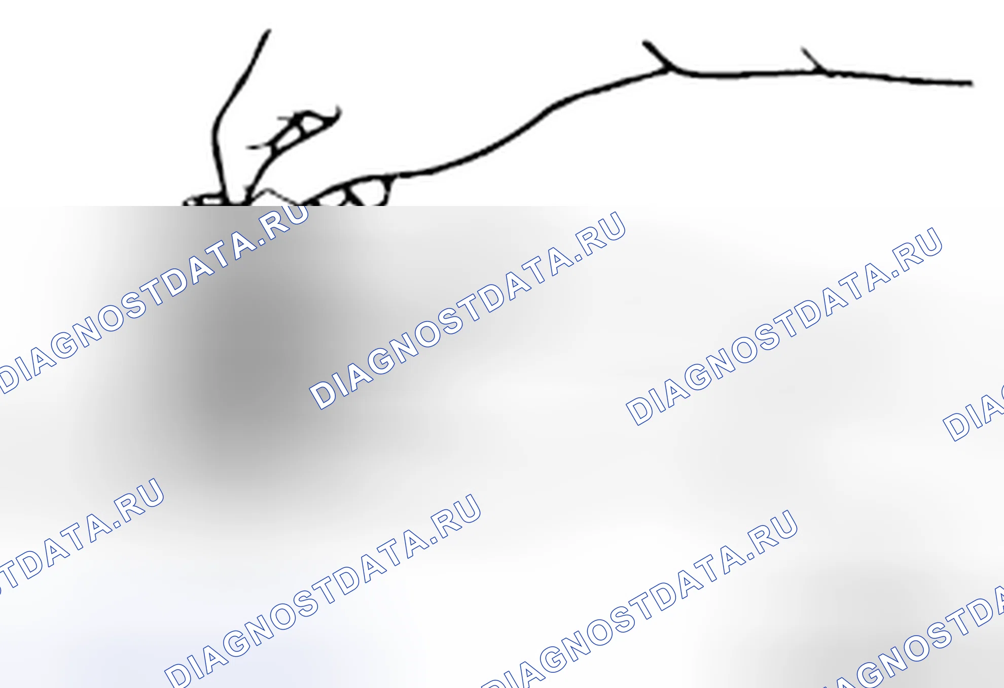 Рис. 54: > > E < < РЕГУЛИРОВКА ЗАЗОРА ДИФФЕРЕНЦИАЛА. Honda e:NP1 I
