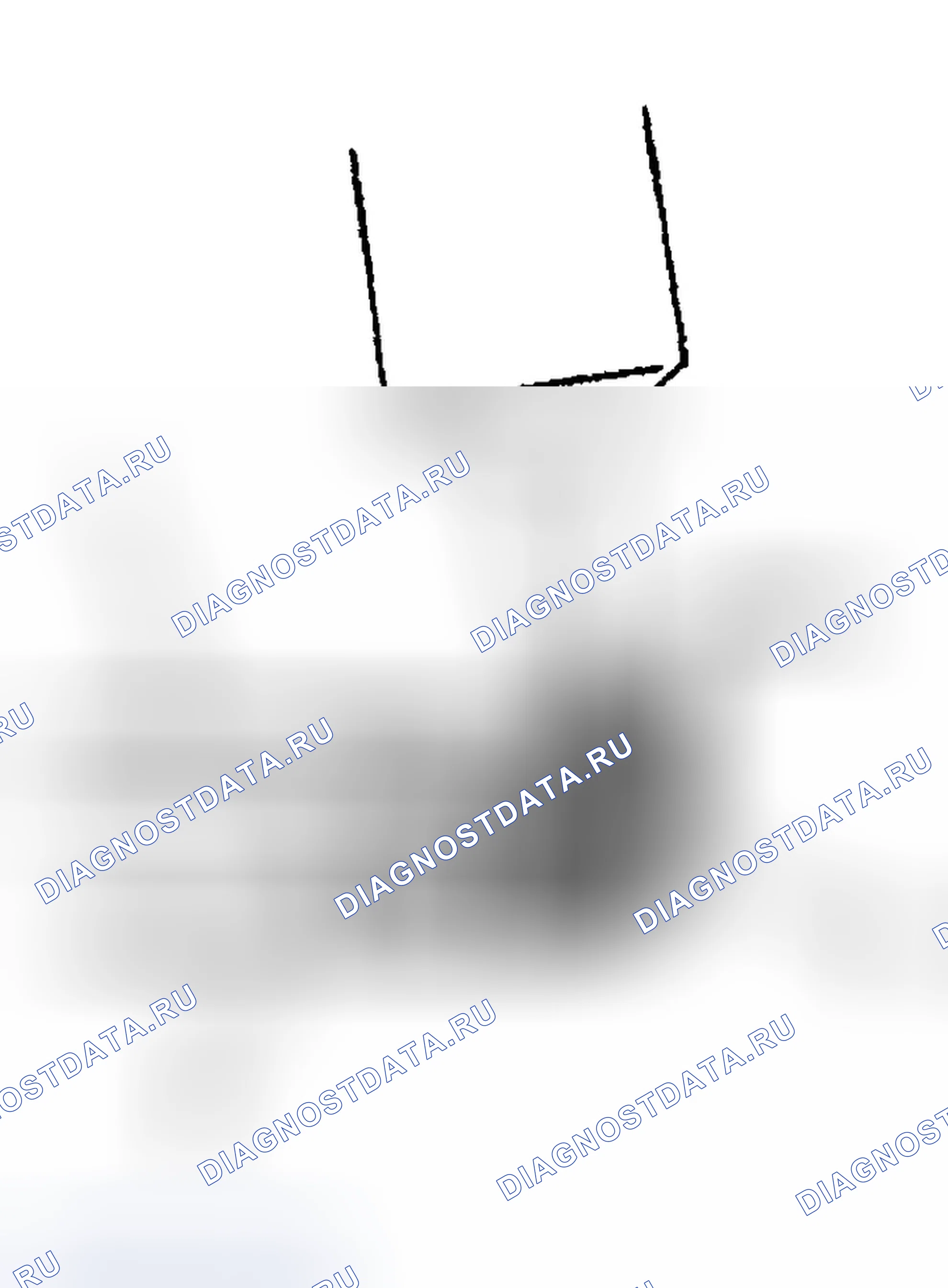 Рис. 46. Chevrolet TrailBlazer I